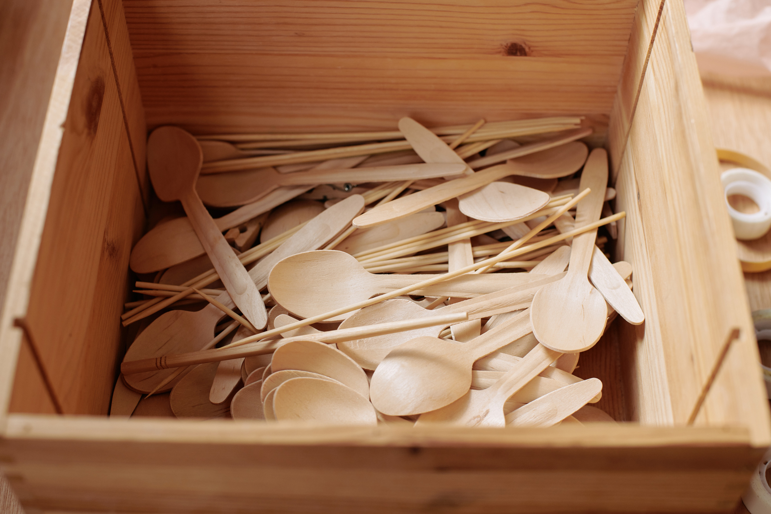 Kleintjekunst training. Fotograaf Amsterdam - Victoria Ushkanova