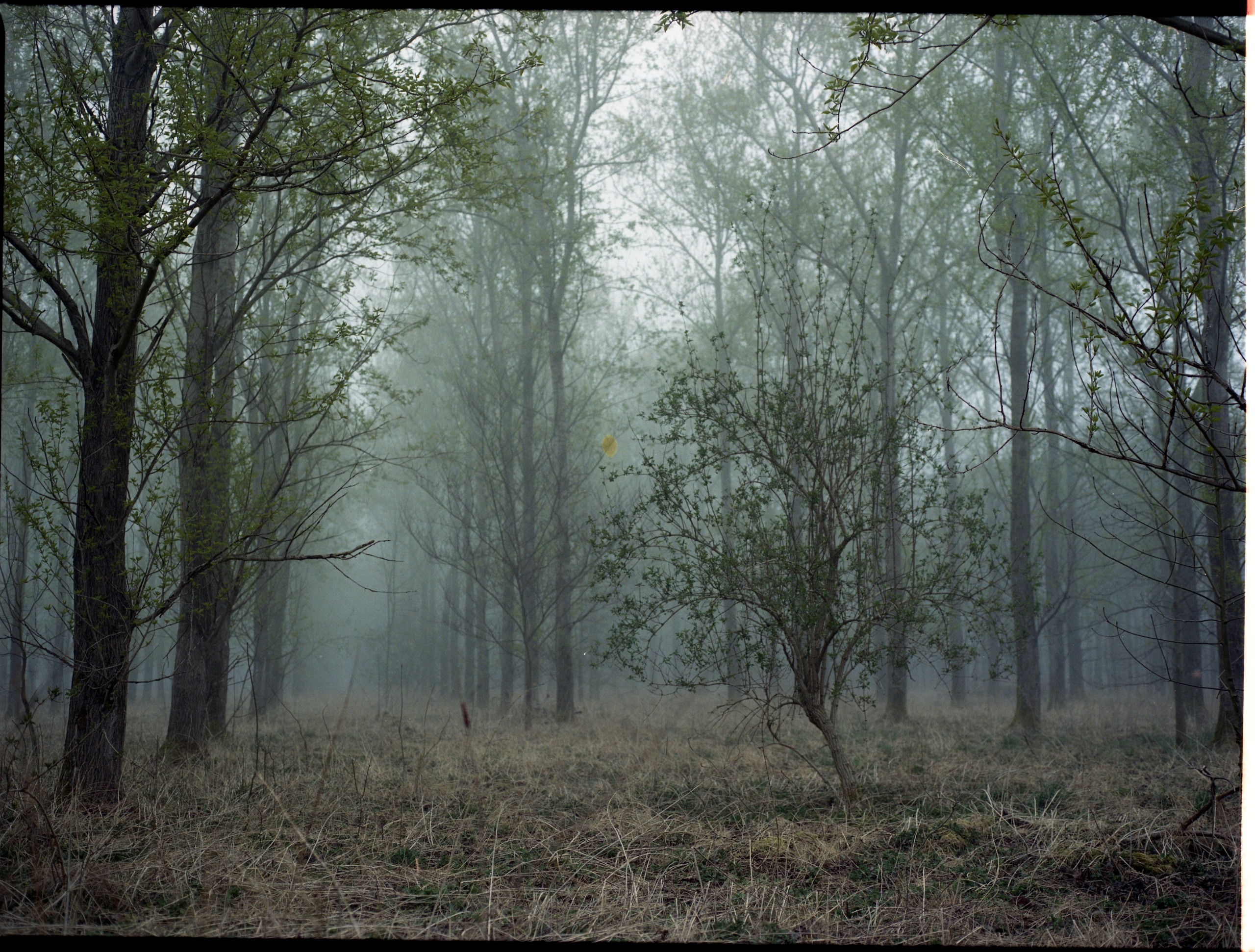 Oosterwold. Fotograaf Amsterdam - Victoria Ushkanova