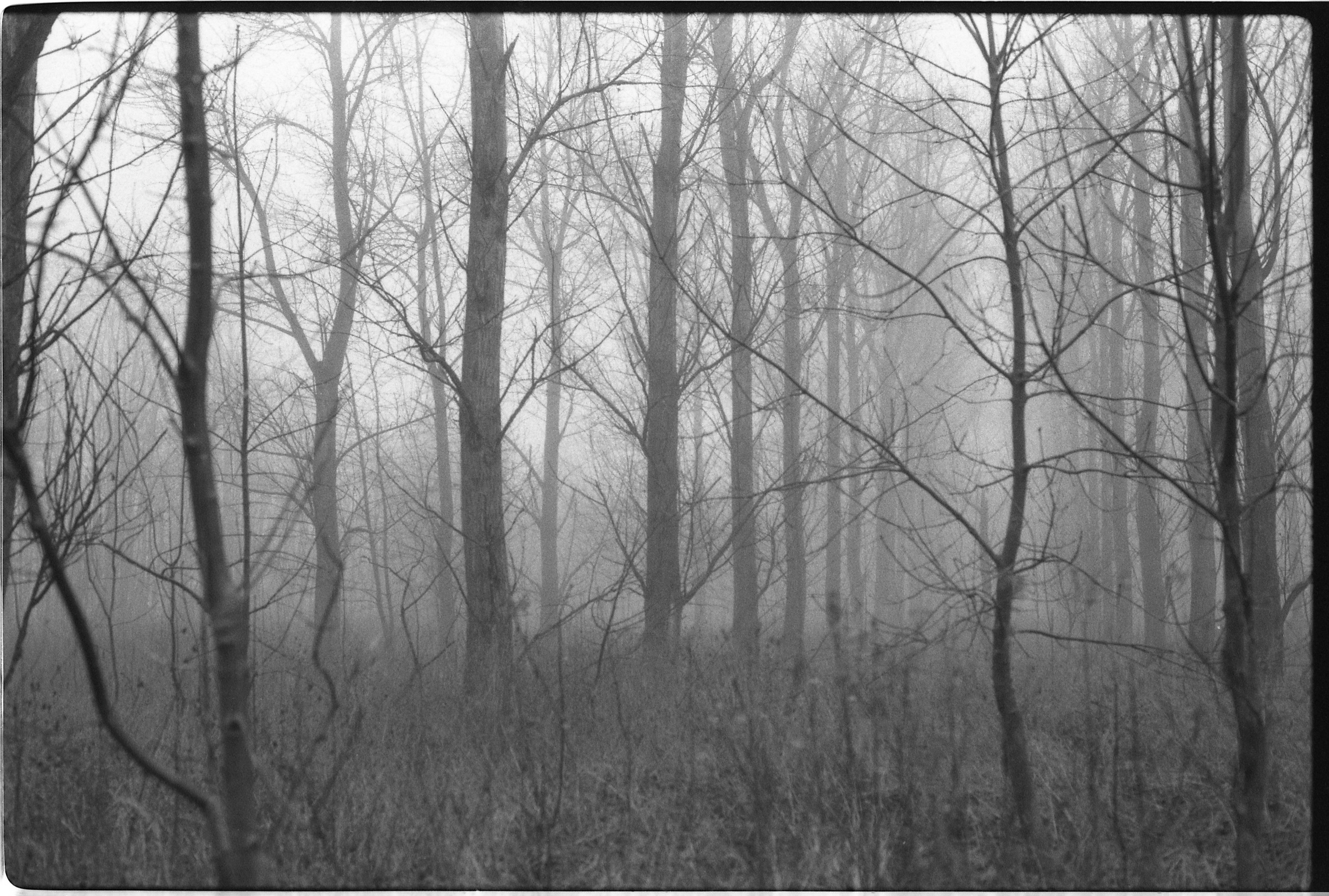 Oosterwold. Fotograaf Amsterdam - Victoria Ushkanova