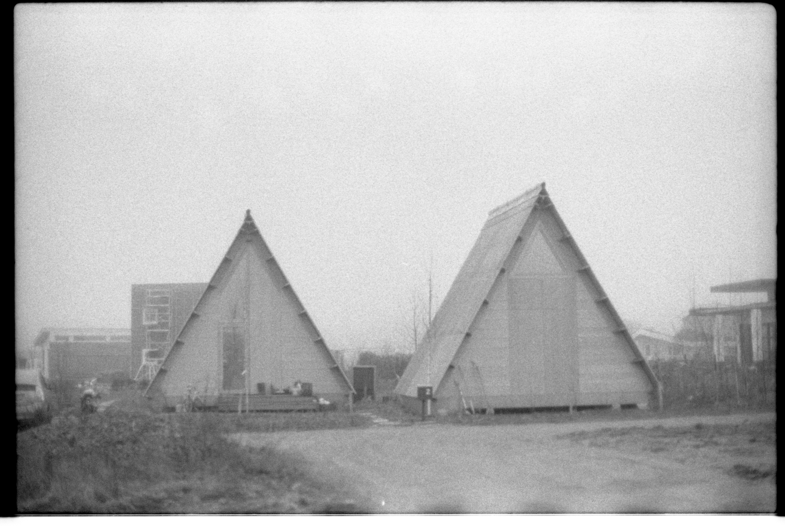 Oosterwold. Fotograaf Amsterdam - Victoria Ushkanova