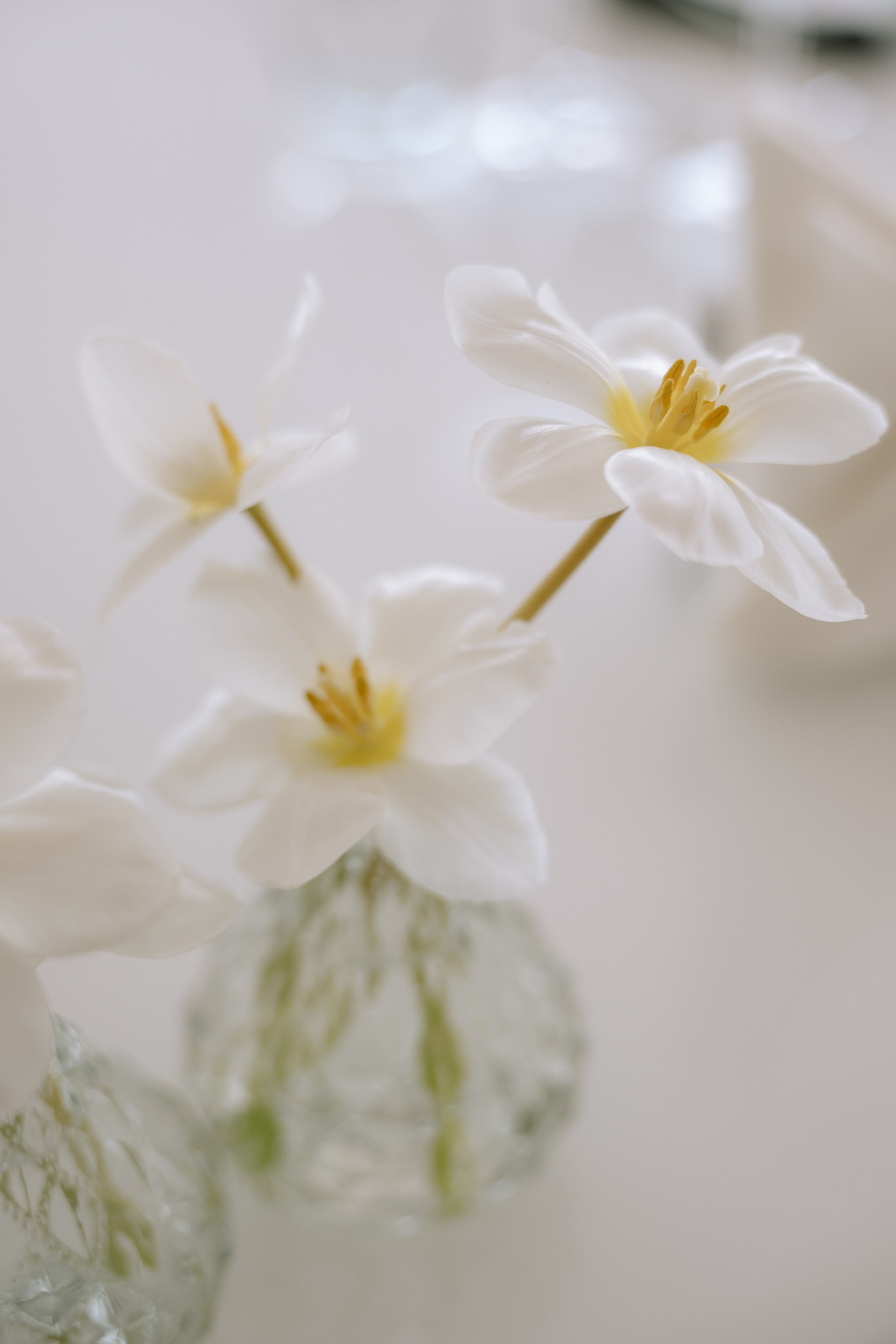 Raluca + Marius | Wedding day. Proud Vision Weddings | Wedding Photography & Film — Servicii profesionale Foto Video Nunta Iasi