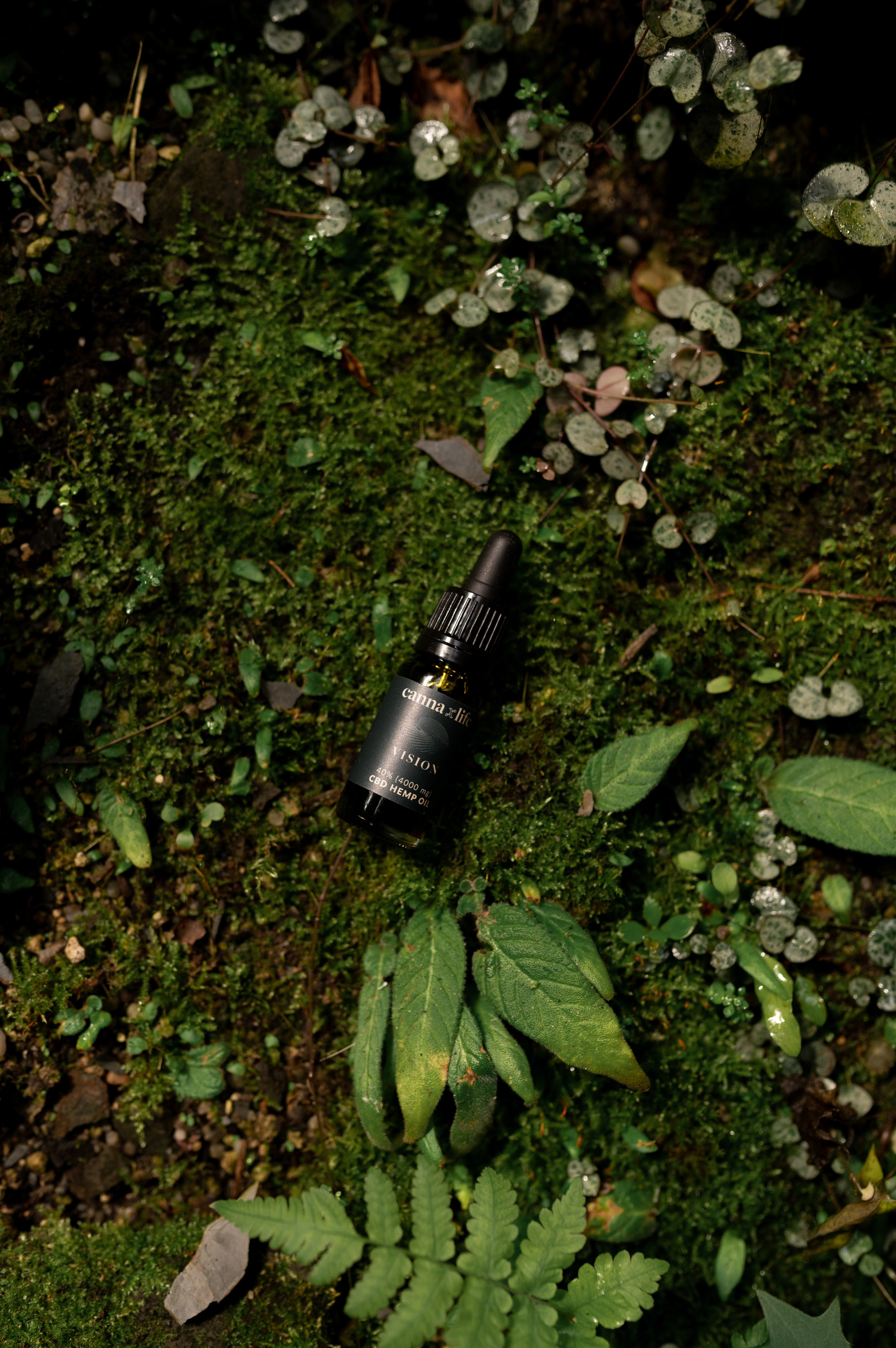 CannaXlife CBD products. ANNA-MARIA PHOTO CONTENT CREATOR — фотограф, естет, художник і візуальний експерт Instagram у Празі