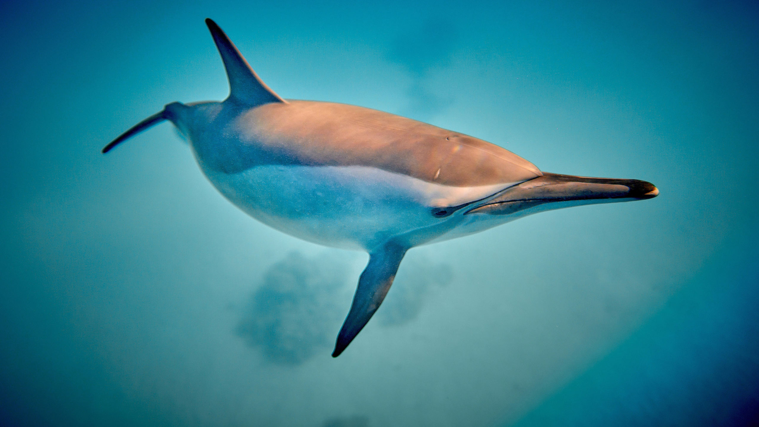 Andriej Szypilow - Fotografia & Wideografia