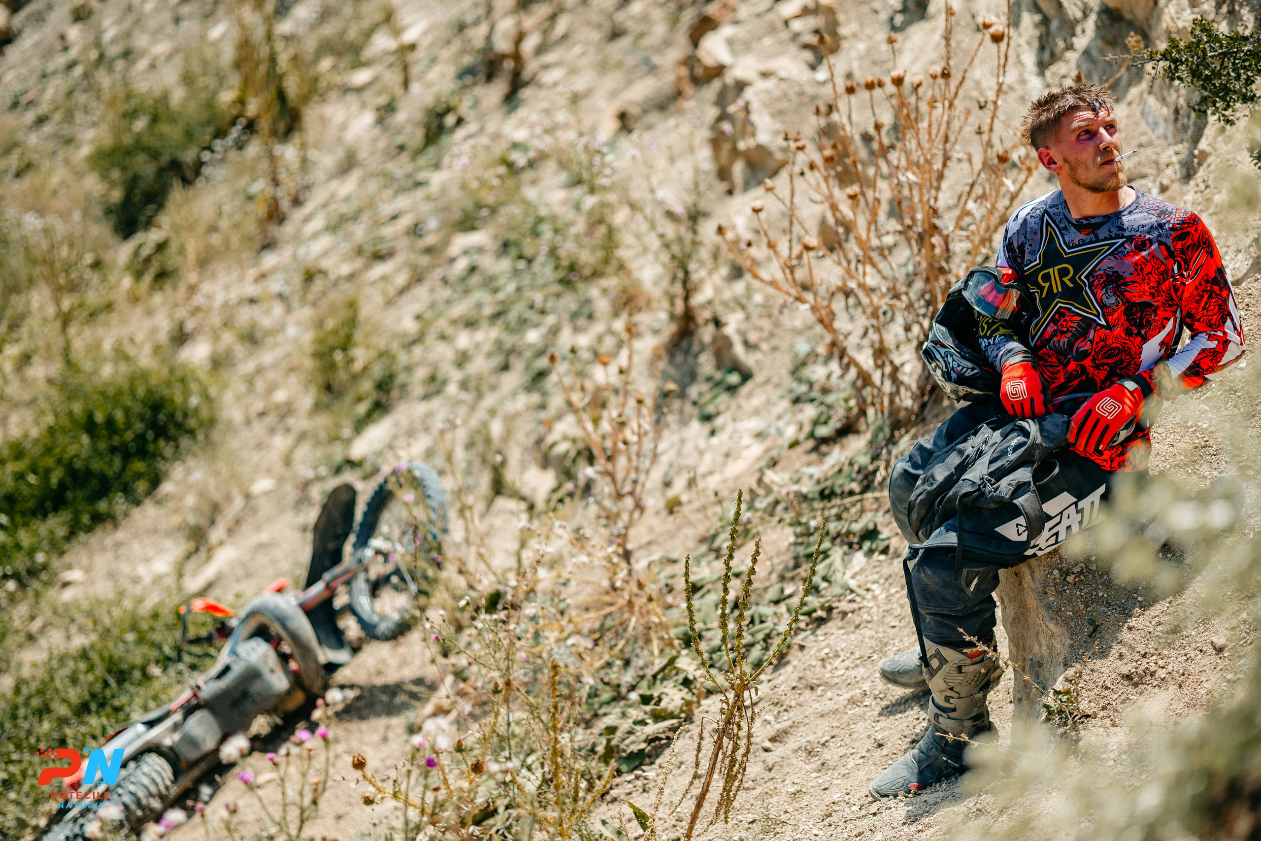 Potecile Naturii 2025. Raw Studio. Fotograful tau de nunta!