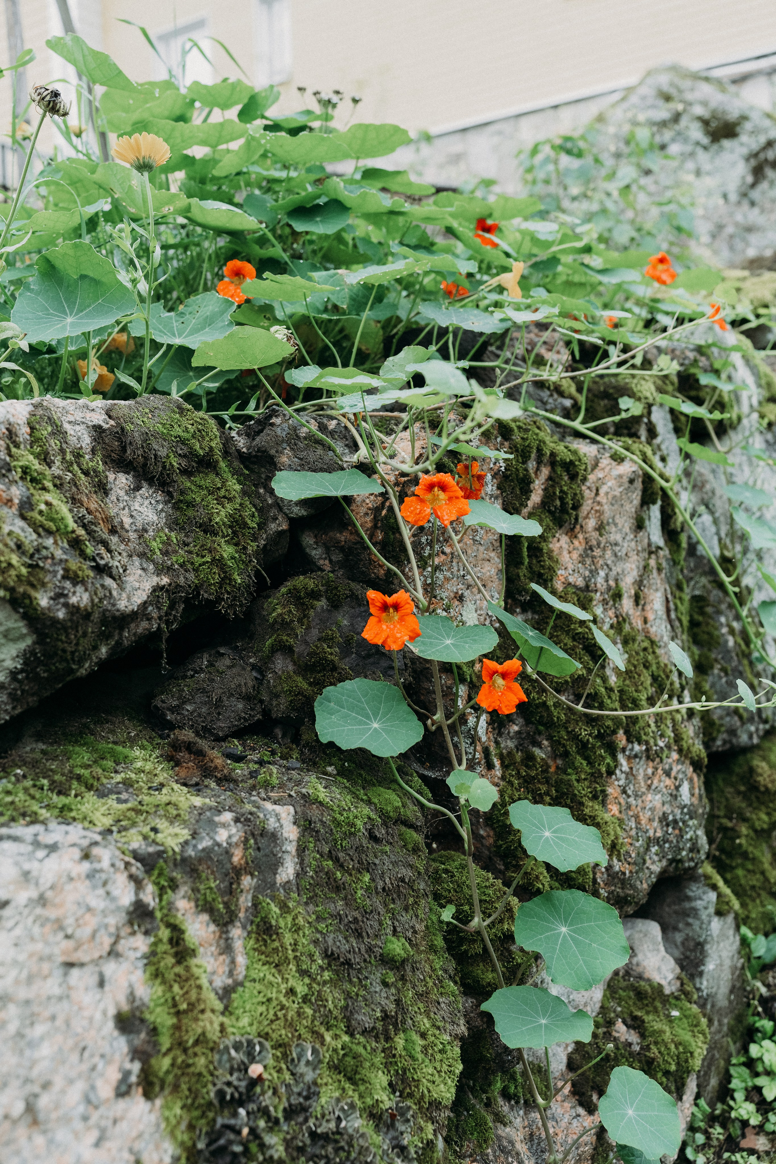 A&O. Wedding and portrait photographer in Helsinki Vickan O
