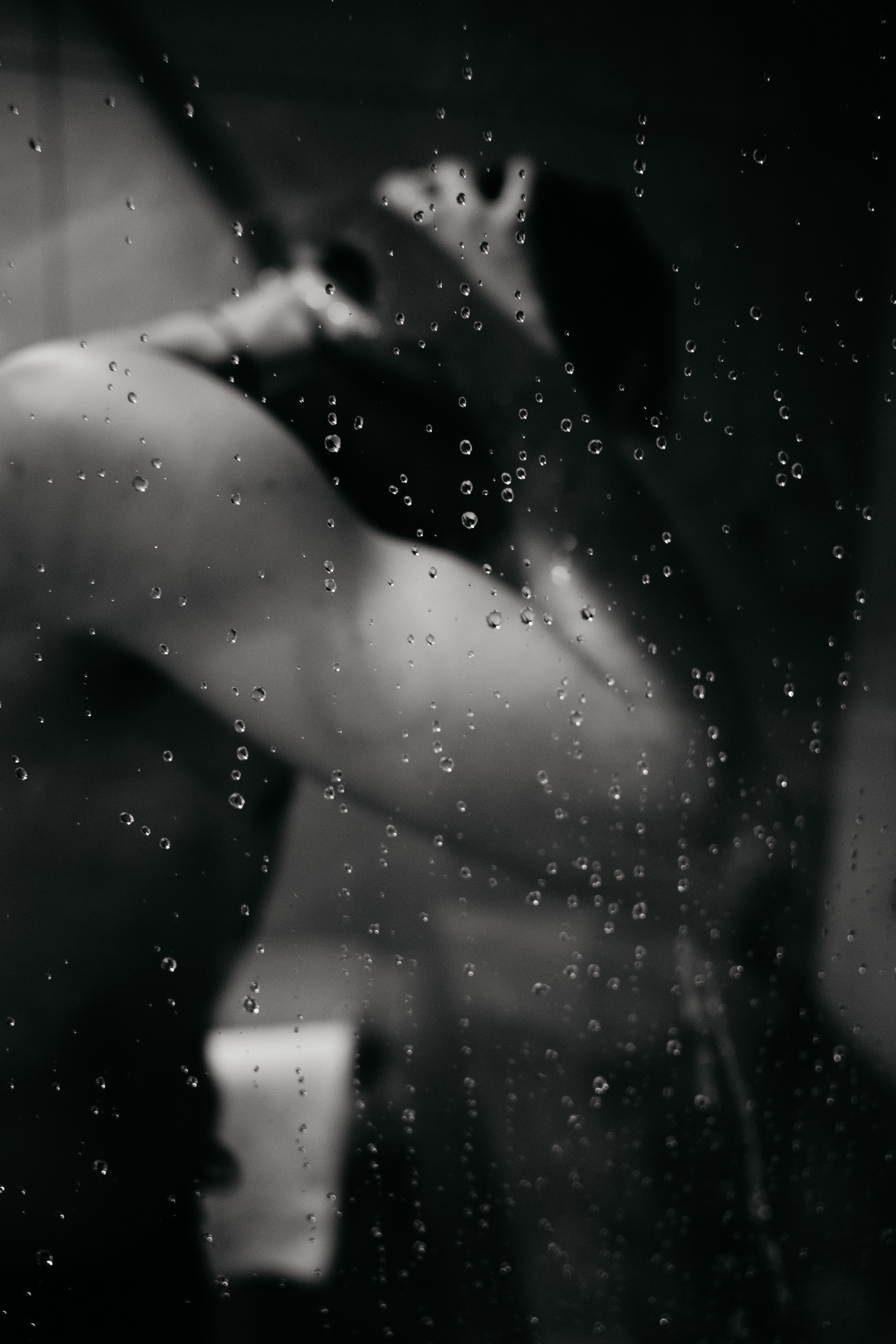 Nunta Targu-Jiu. MDimaFotoStudio. Fotograf de nuntă, evenimente private și de familie