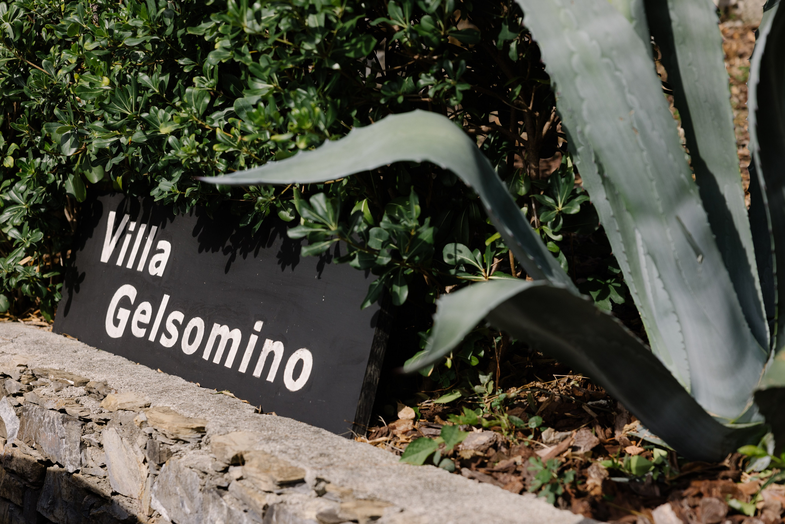 Frank&Chami. Grosu Photography