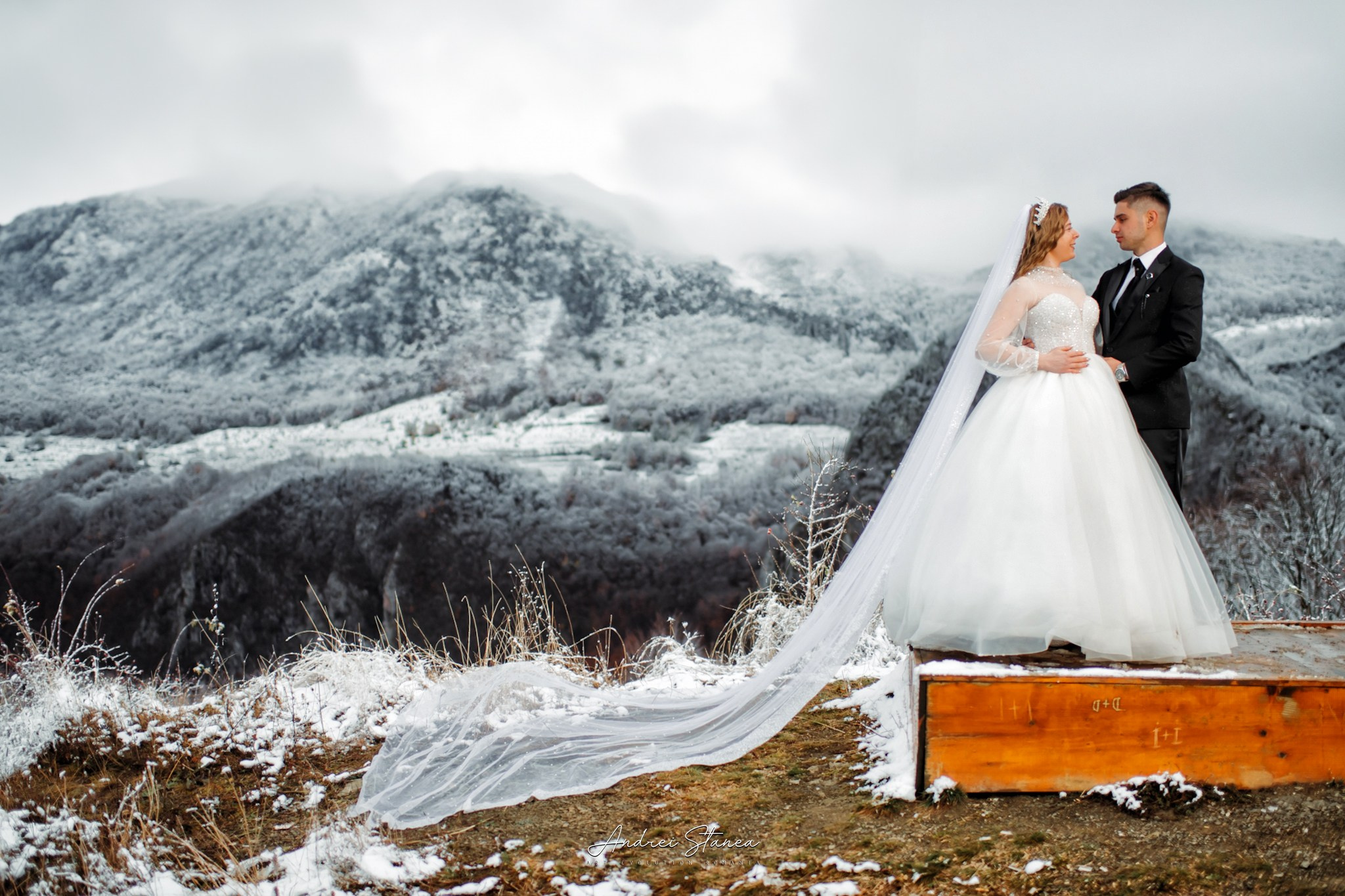 Dan & Daniela. Andrei Stanea