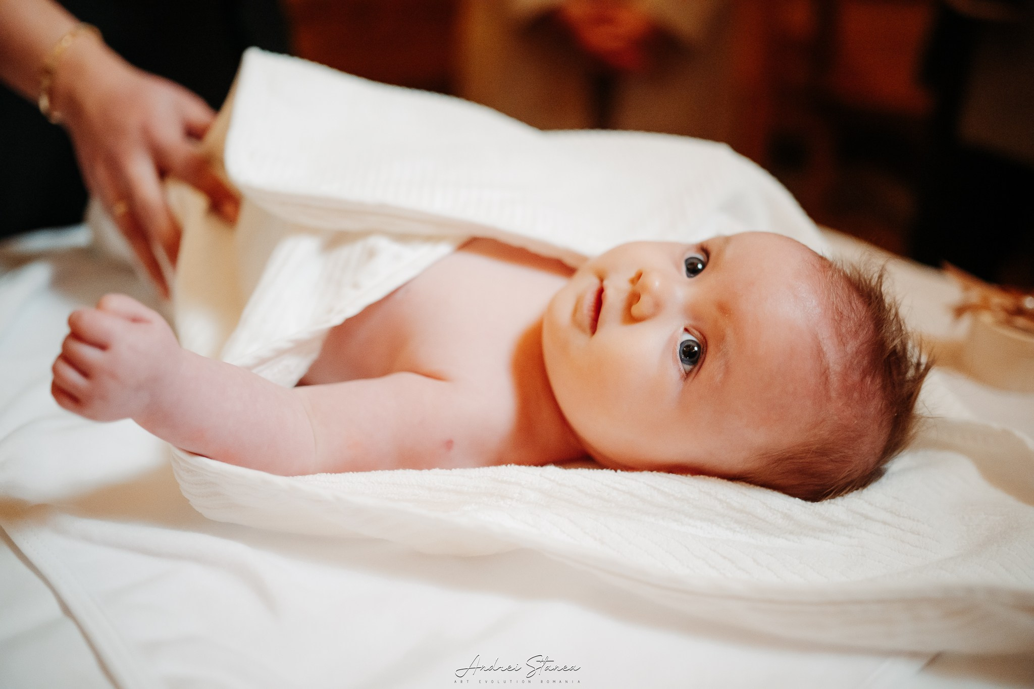 Clara. Andrei Stanea