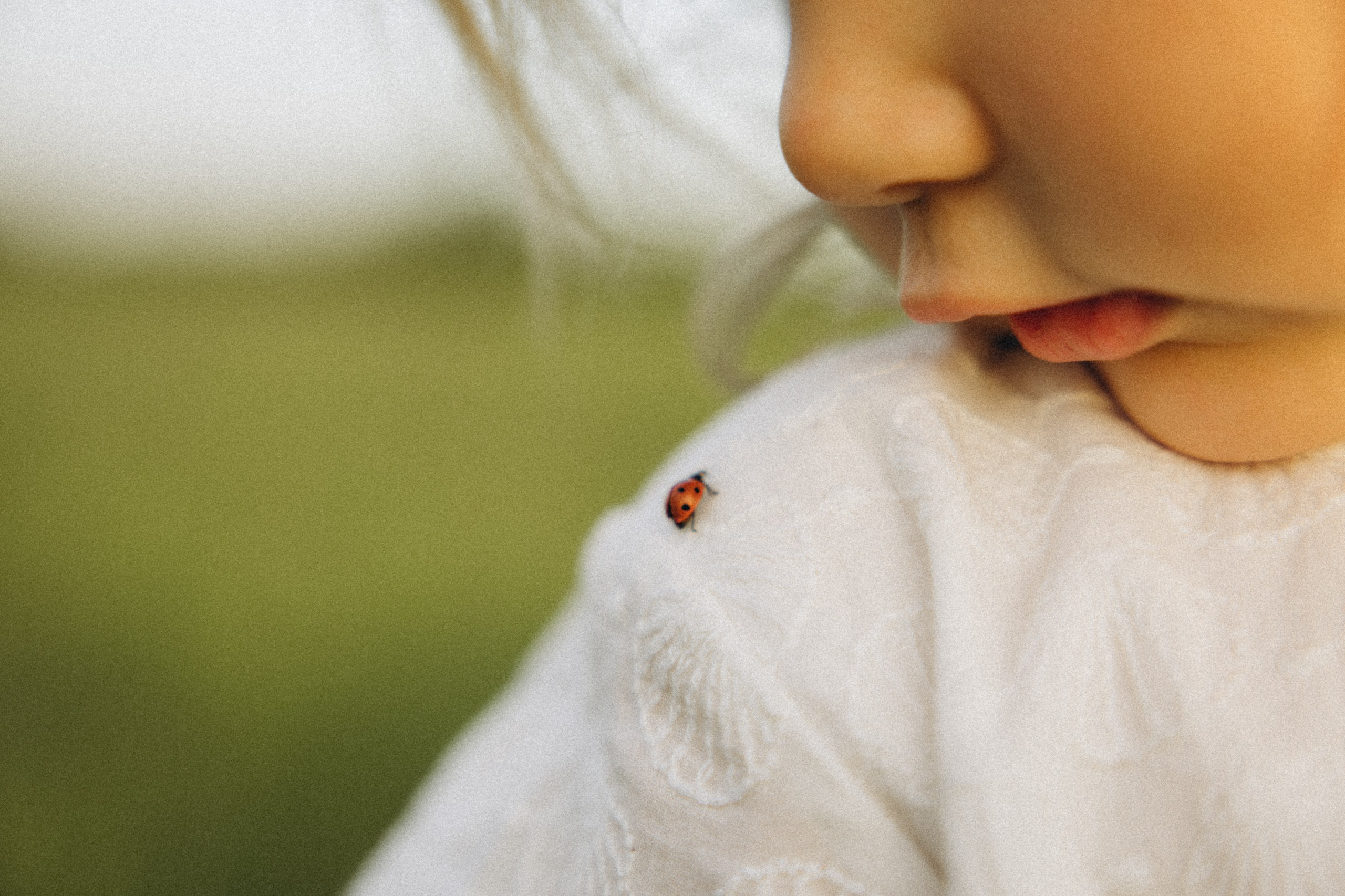 Familienshooting bei Sonnenuntergang. Familien & Hochzeitfotografin Nadja Holzmann