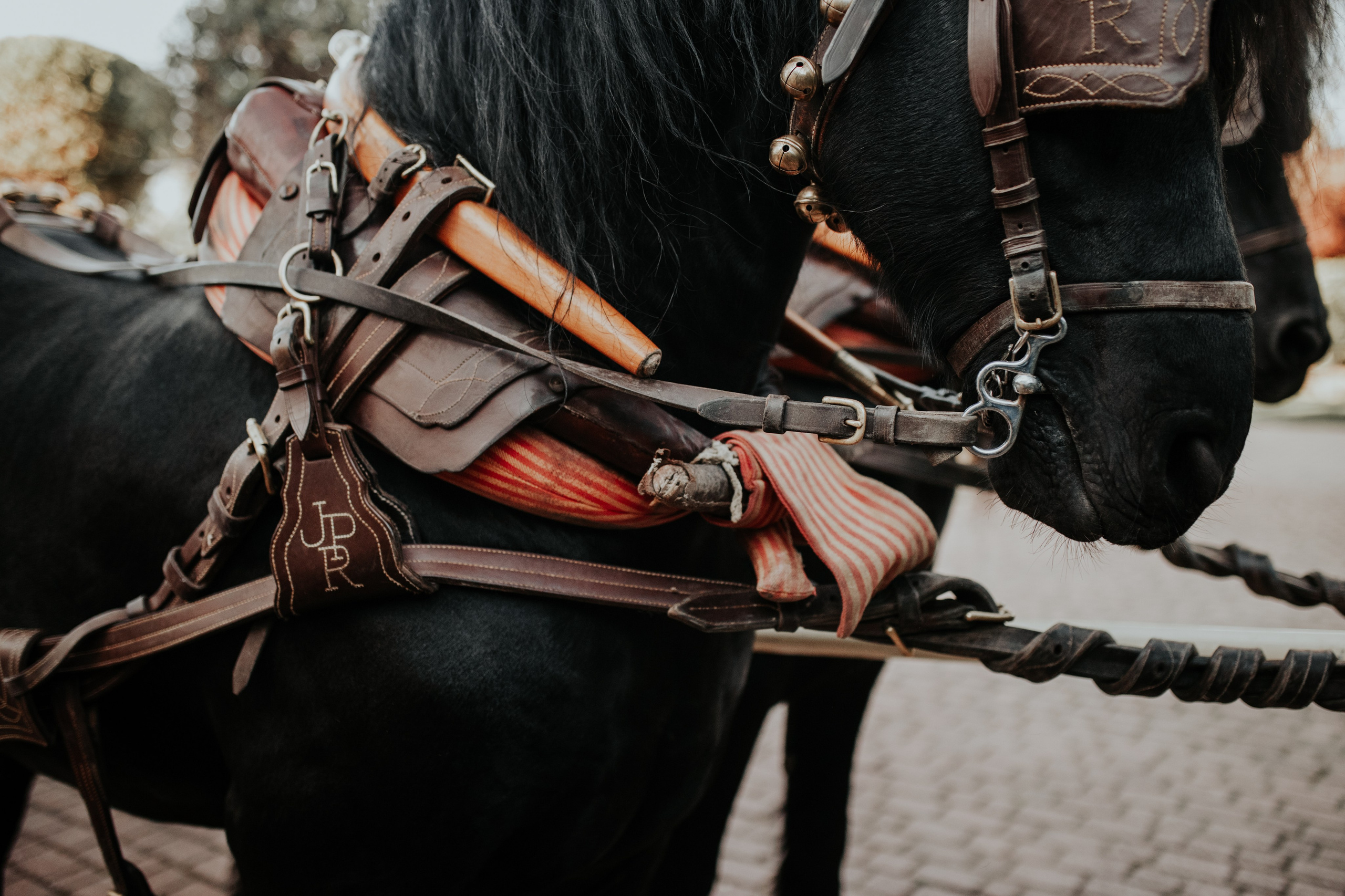 Fotografía de Bodas en Madrid - Rainbox: Capturamos Tu Amor con Pasión. Rainbox Estudio de Fotografía