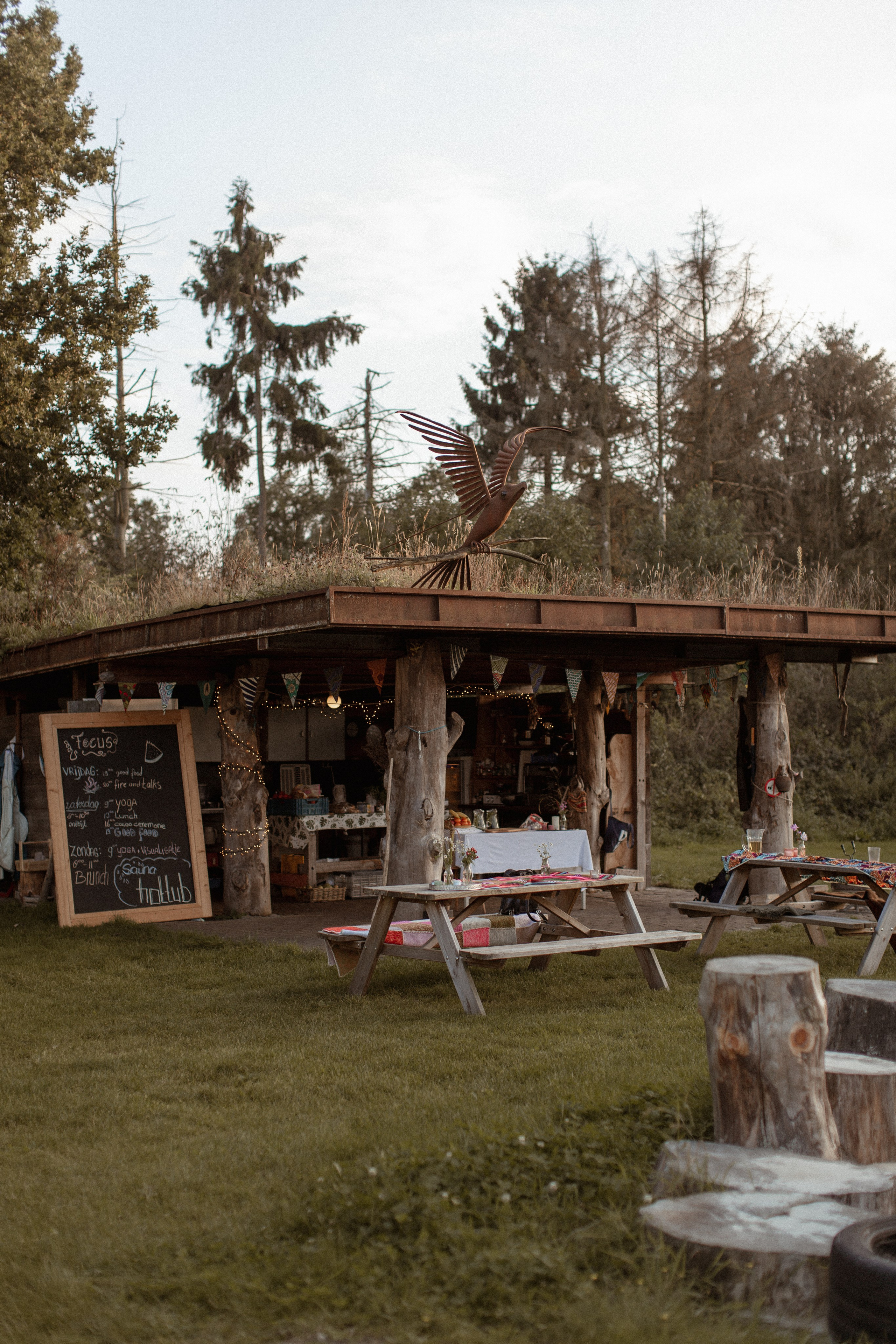 Yoga retreat. True self