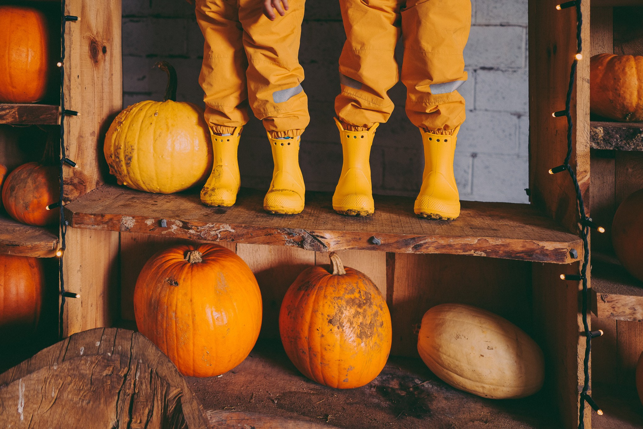Pumpkins picking photo shoot in Solihull. Creative Family, Brand, Boudoir and Wedding Photographer in Solihull & Birmingham Irina Zoteeva