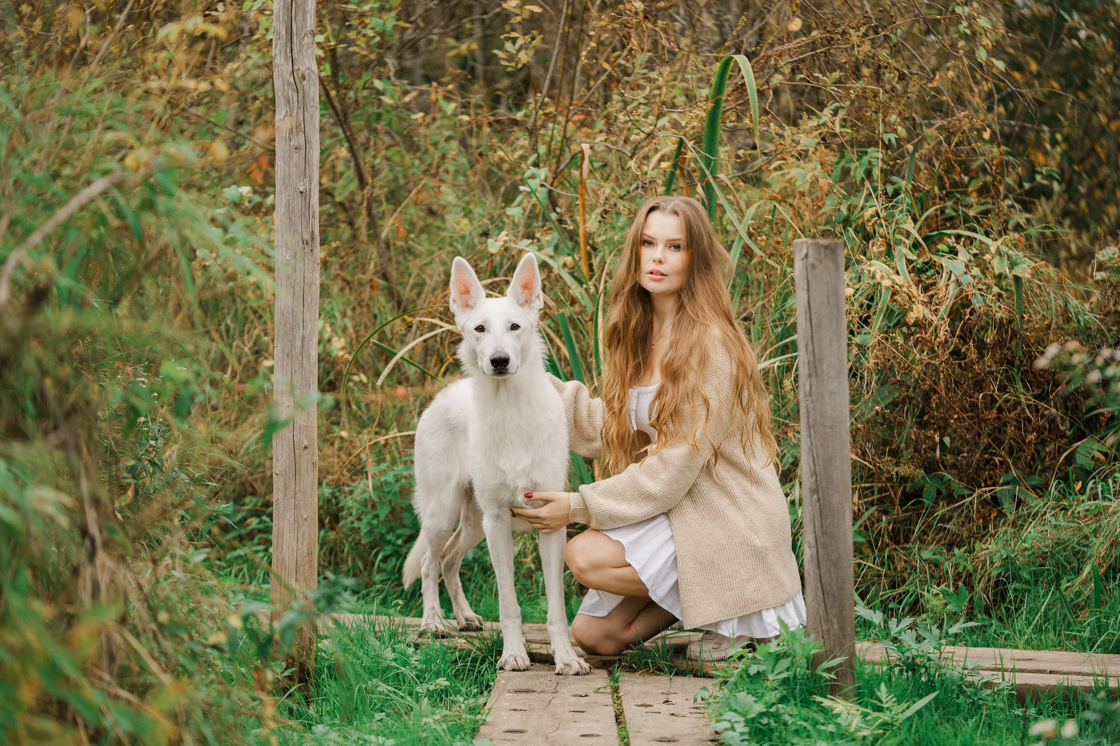 Syksyinen kuvaus rakkaan lemmikin kanssa