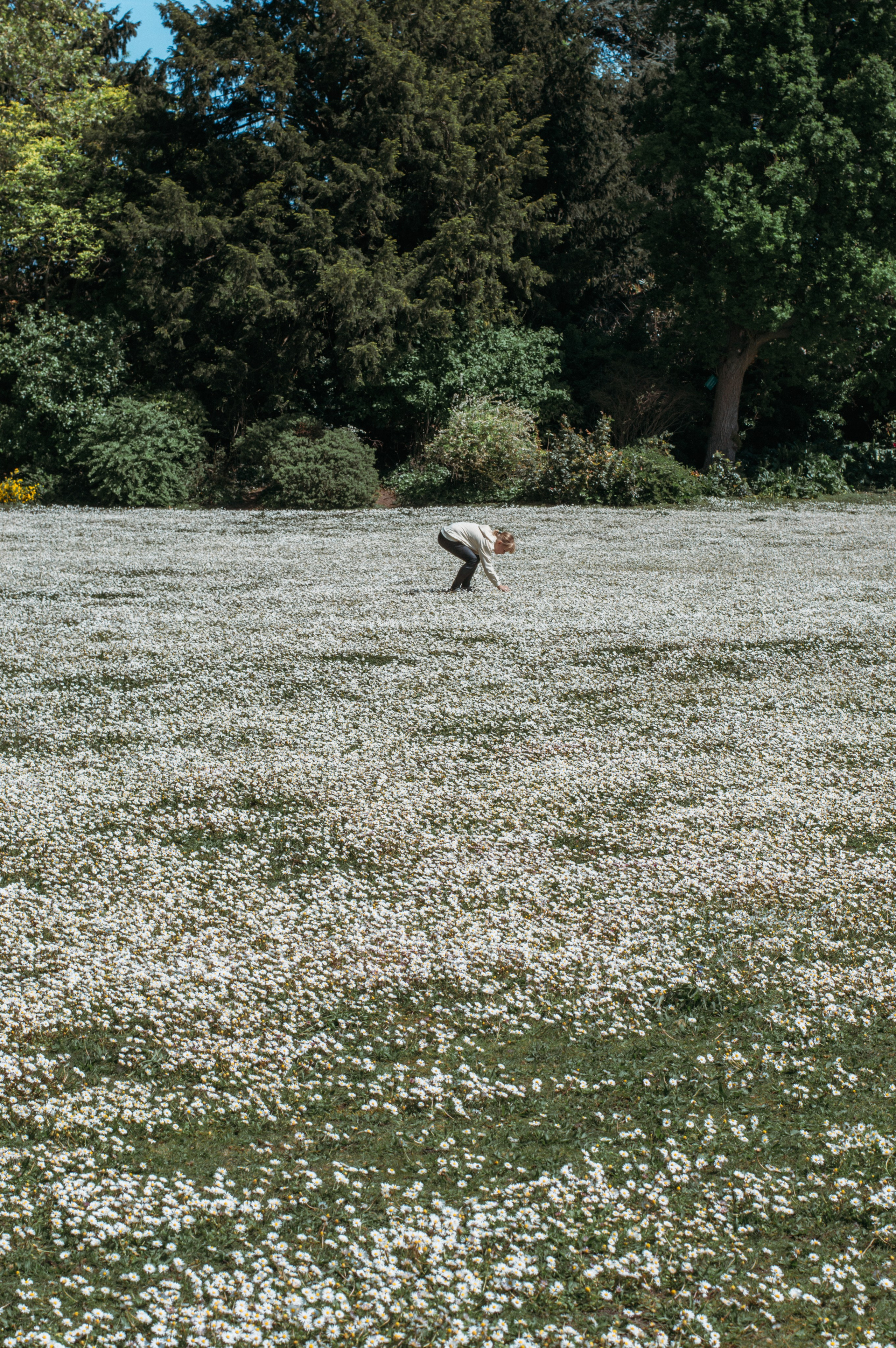 Франция. Анастасия Благова — Твой фотограф в Малаге 🇪🇸