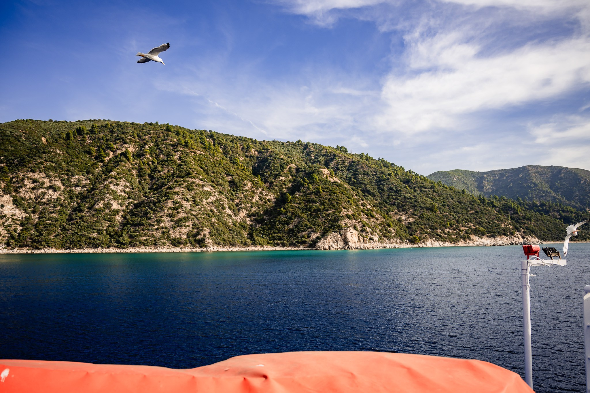 Pilgrim. Fotograf de nuntă Belgia - Stefan Bogdan | Fotograf roman
