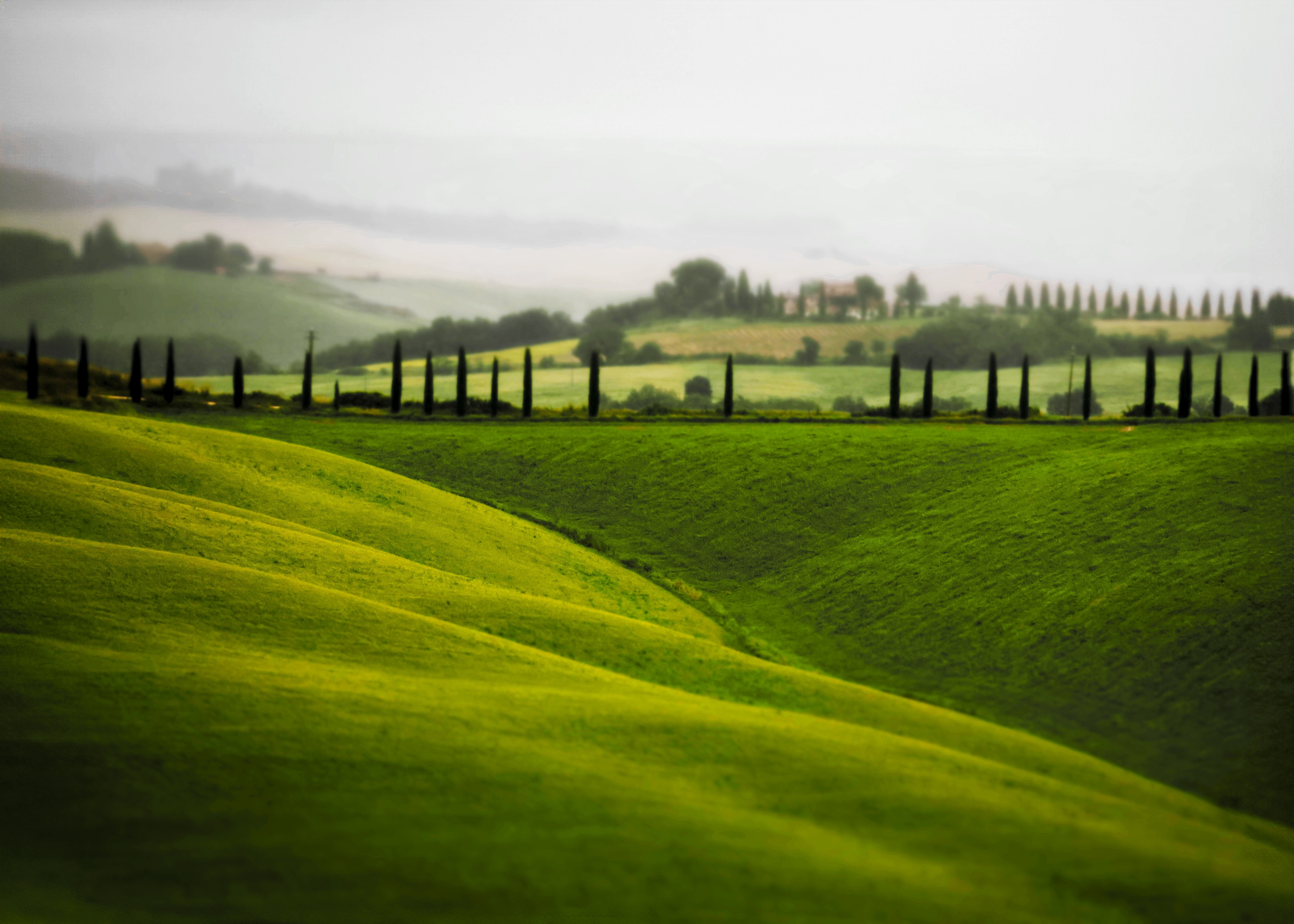 LidiiaFotoLab: Portrait, Event & Hochzeitsfotografin