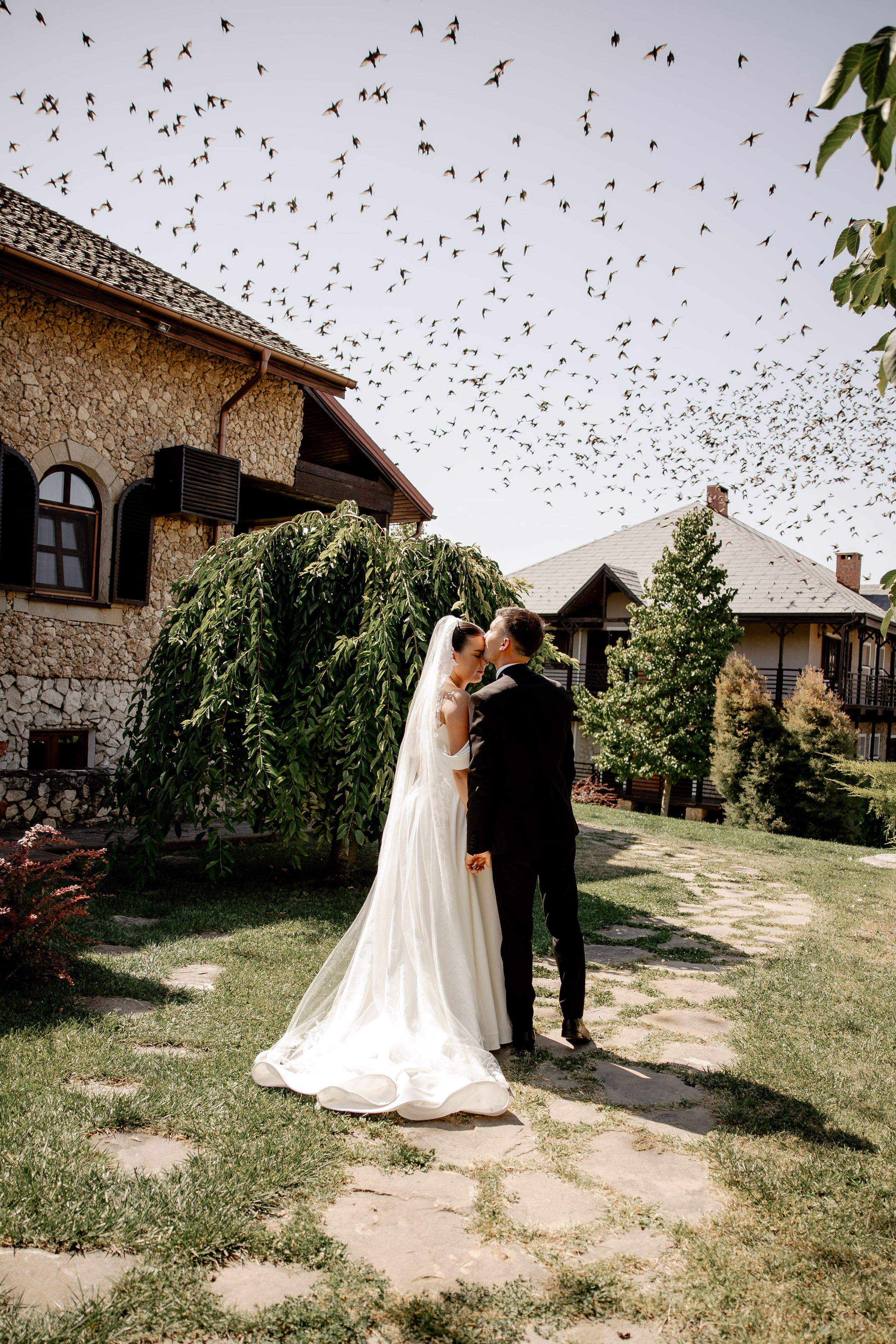 Nicolae & Kleopatra. Servicii Foto/Video