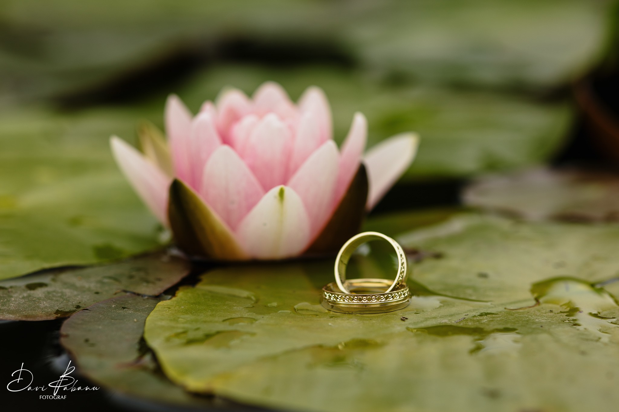 Mădălina & Andrei - Cununie Civilă