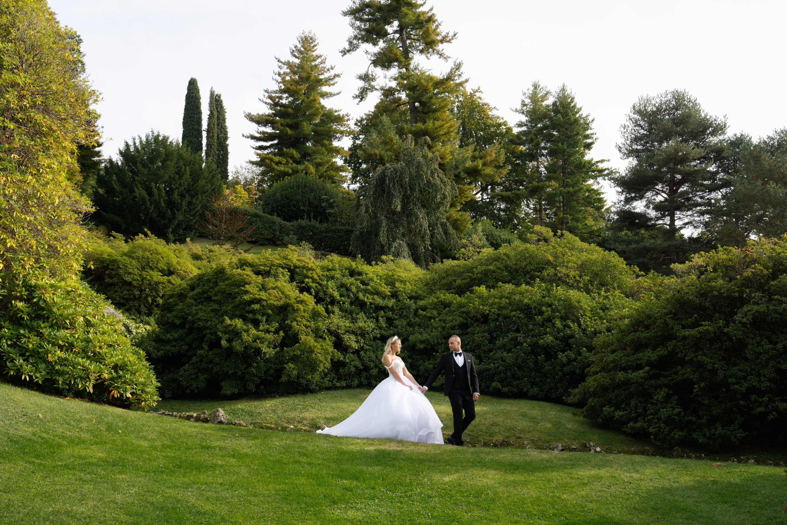 Portfolio. Ioana Timis