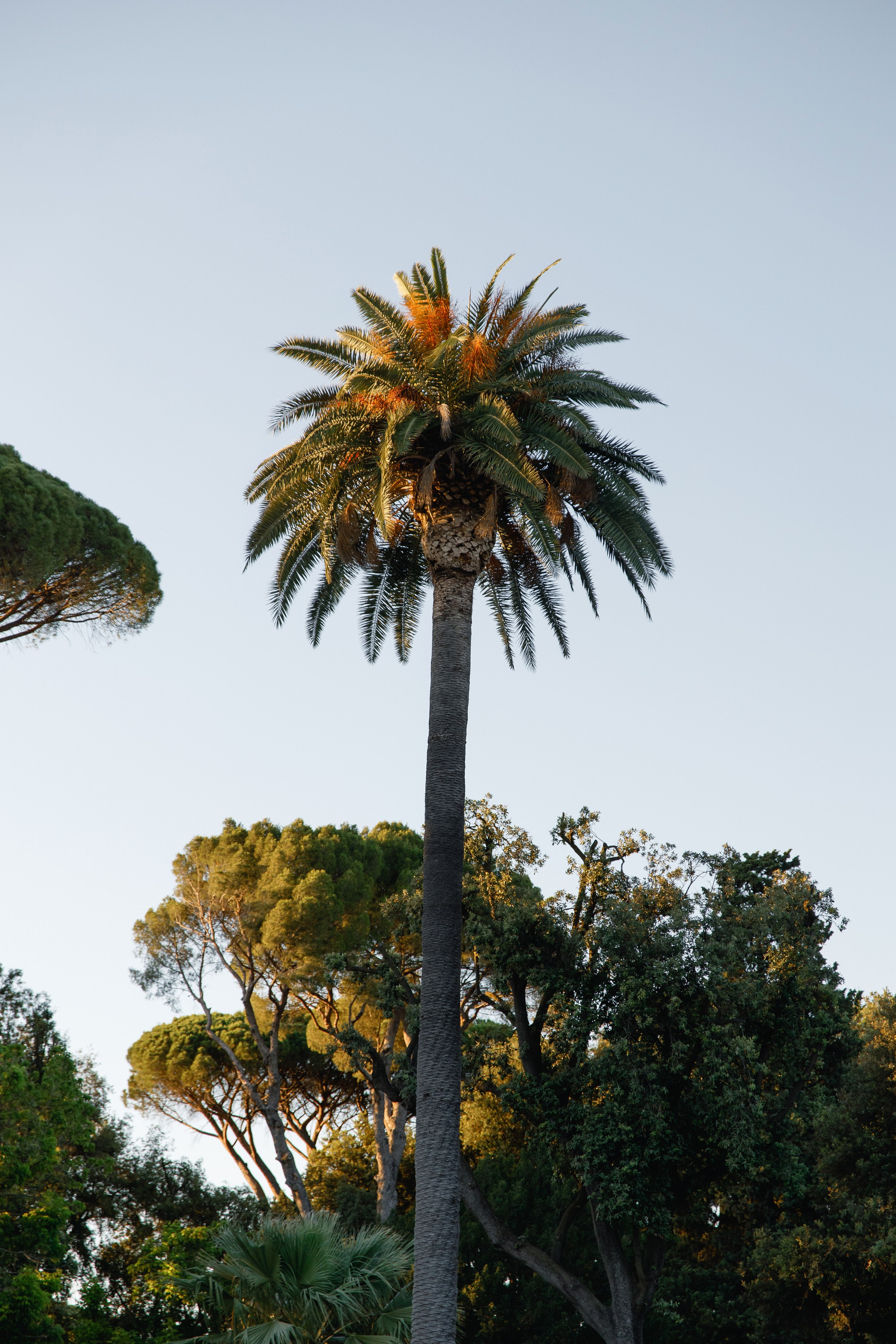 Wedding Photographer in Rome. Wedding Photographer Rome Tuscany Como Sicily Puglia Amalfy Italy- Oksana Savenchuk