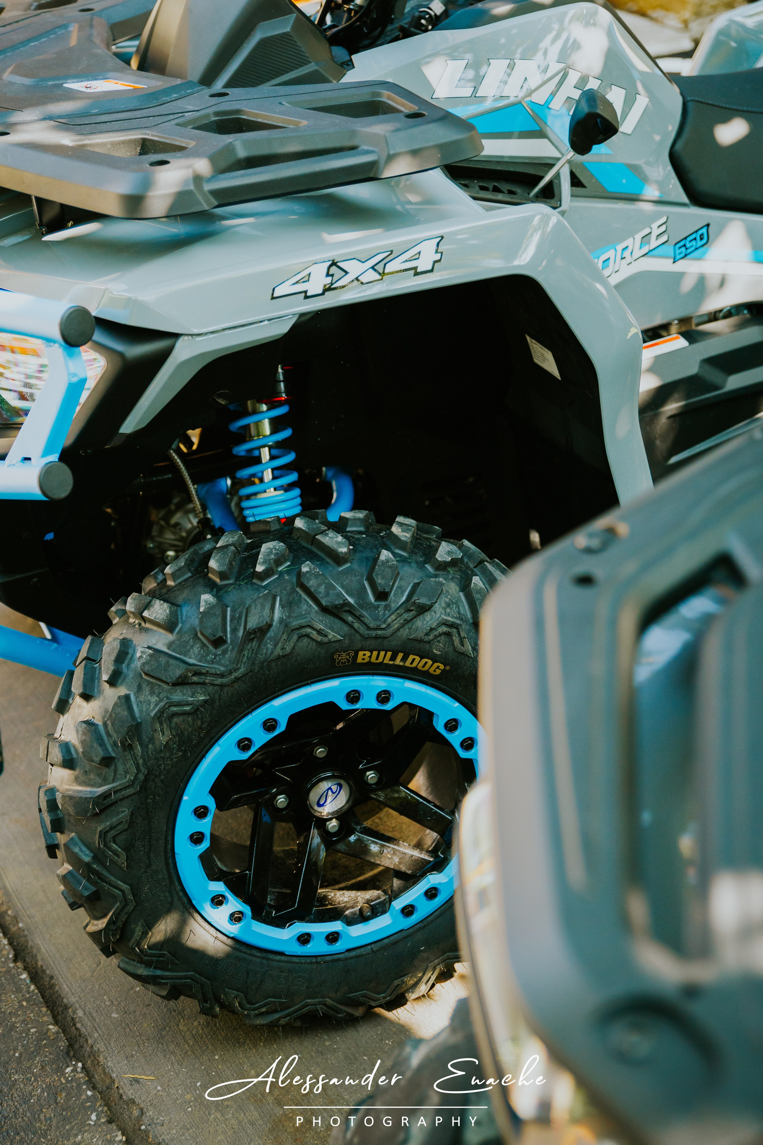 BĂRLOGUL URȘILOR. Fotograf prin #Piatraneamt-Alessander Enache