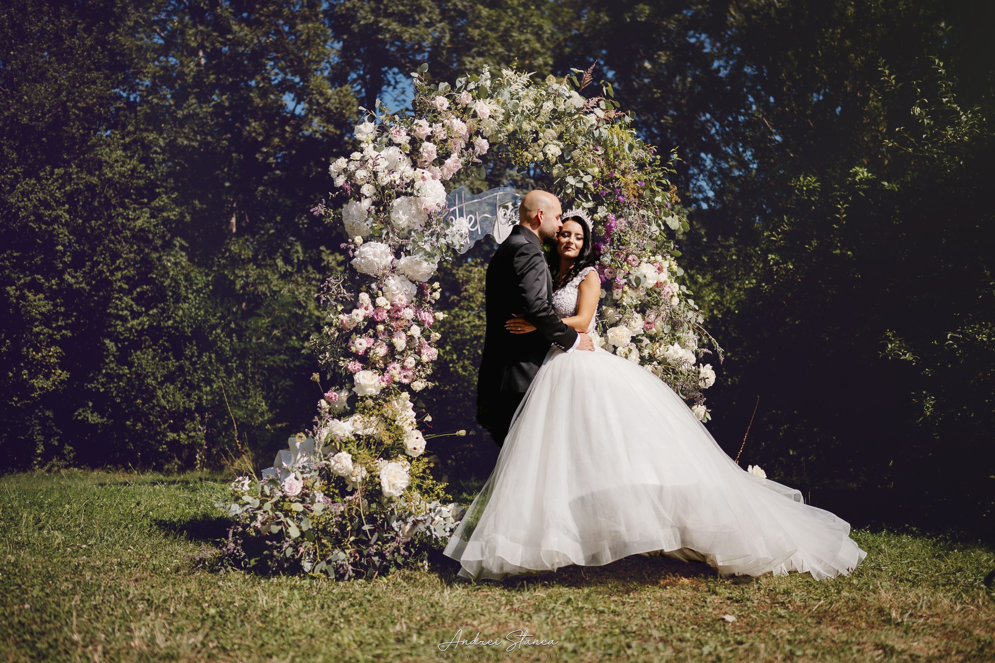 Portofolio. Andrei Stanea