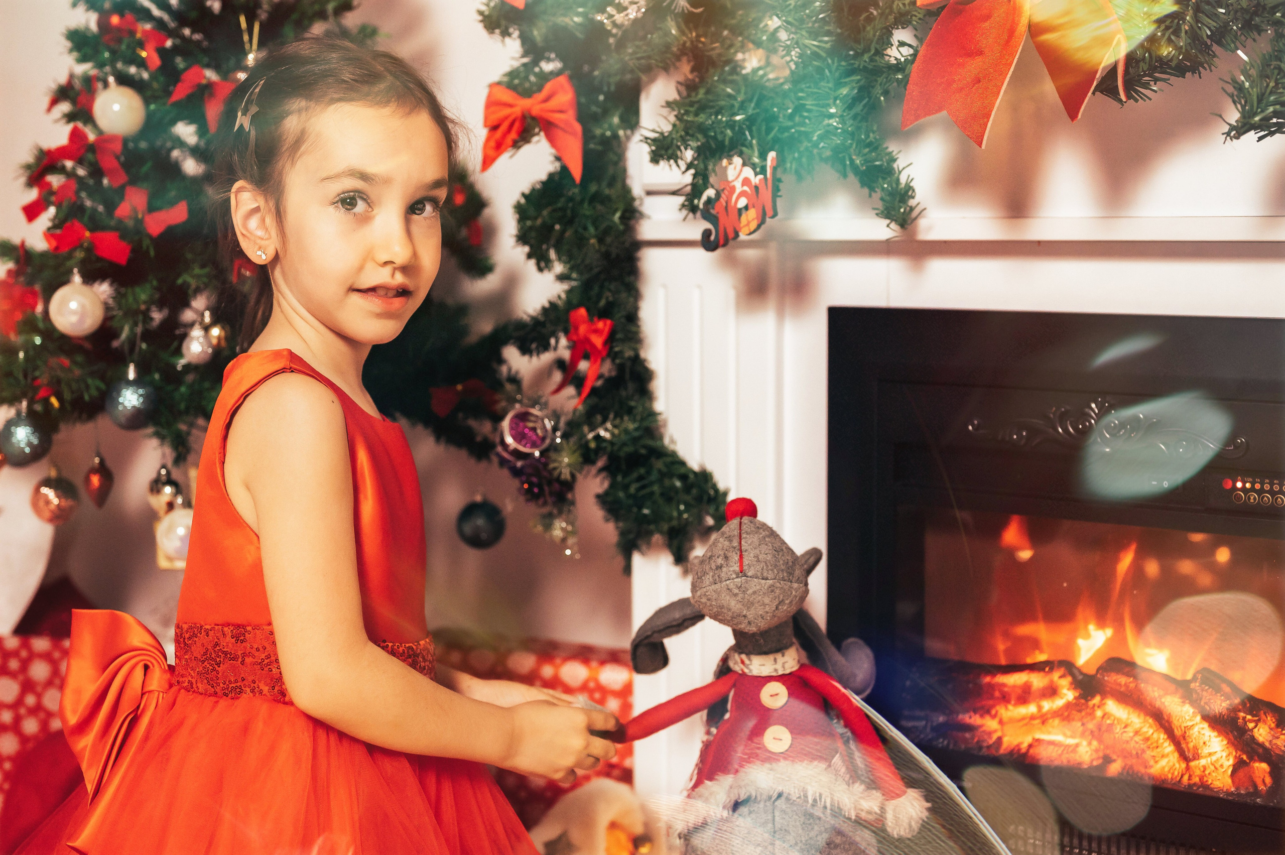 Sedinta Craciun Sofia