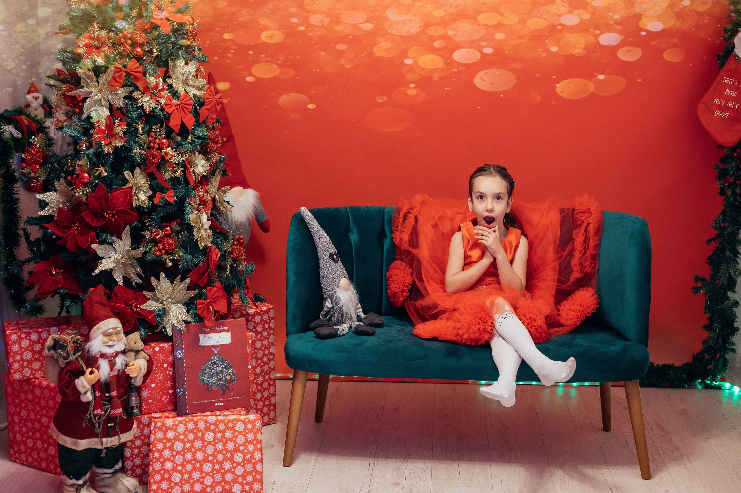 Sedinta Craciun Sofia