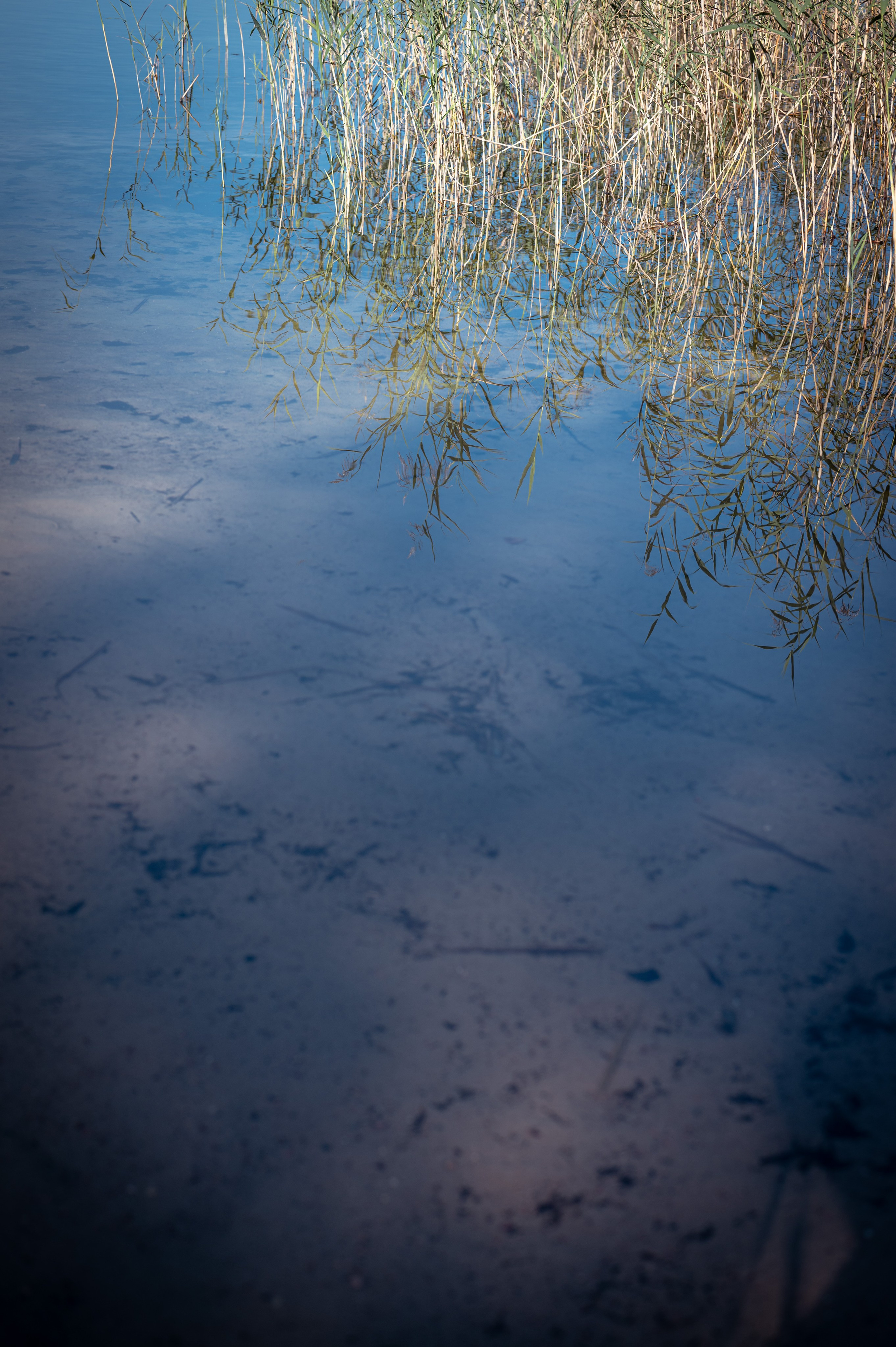 Мероприятия. Фотограф Сергей Трифонов