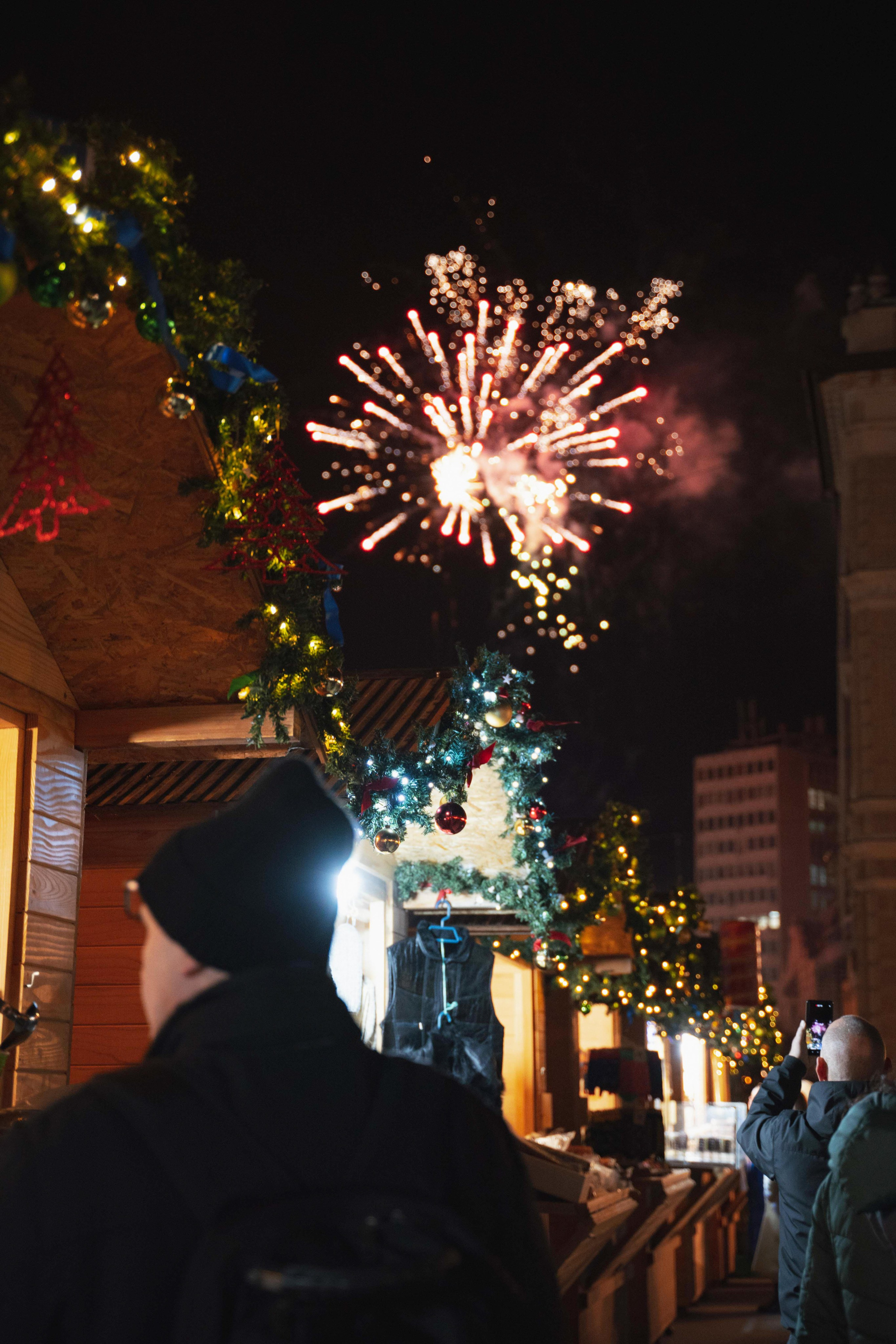 Novosadski Zimzolend. Жуков Студио