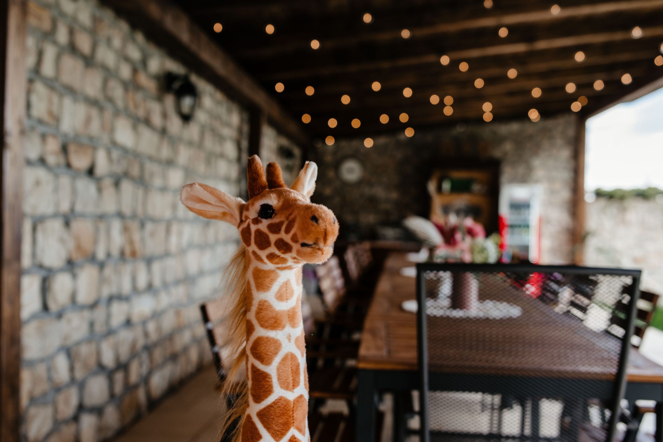 Radu Rahovan Fotograf de botez Cluj