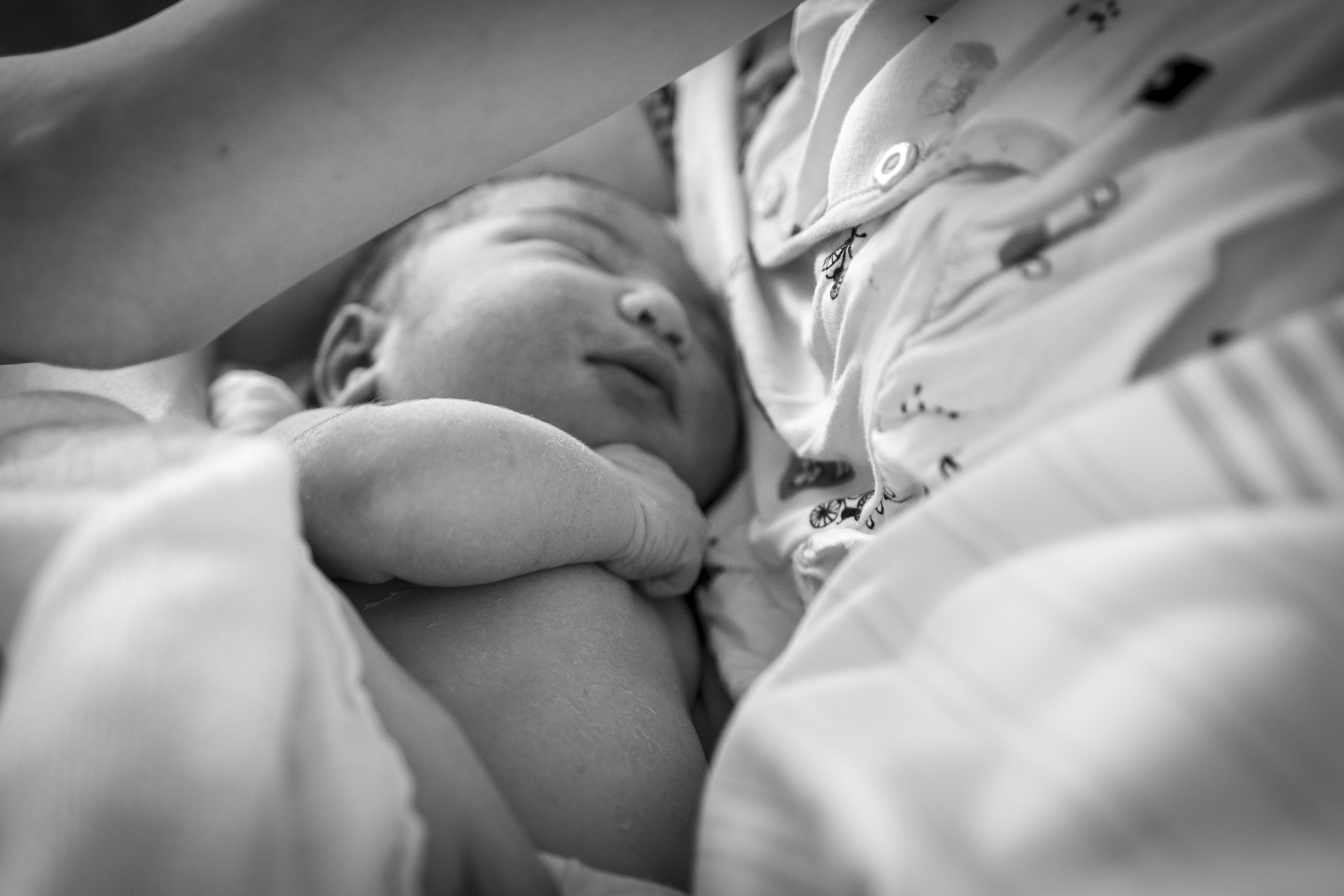 Exclusive maternity and newborn photography. Dresden, Leipzig, Berlin. Family & Maternity Photographer in Dresden Tatiana Mudryak