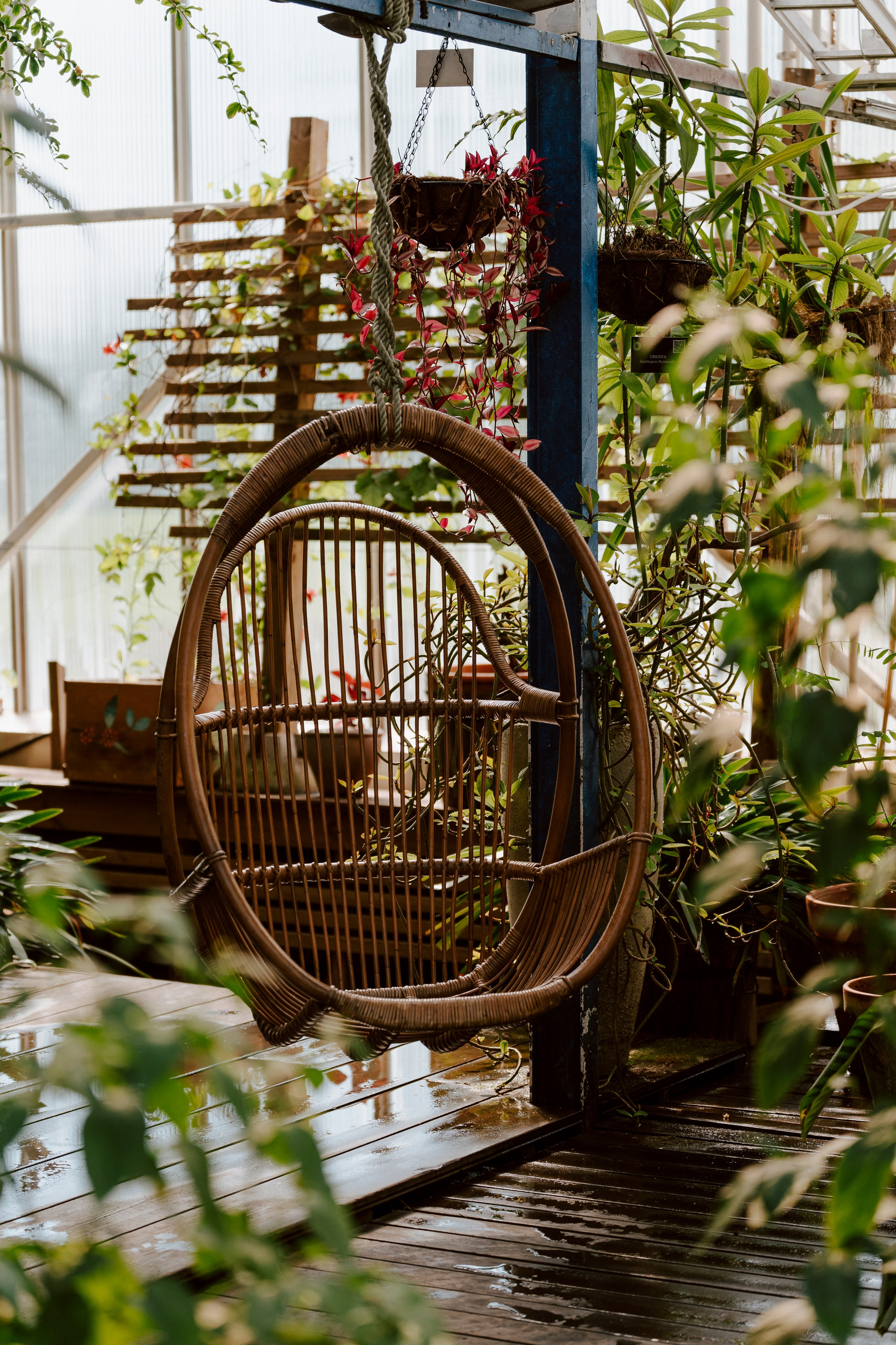 Gallery. Natasha Shakh