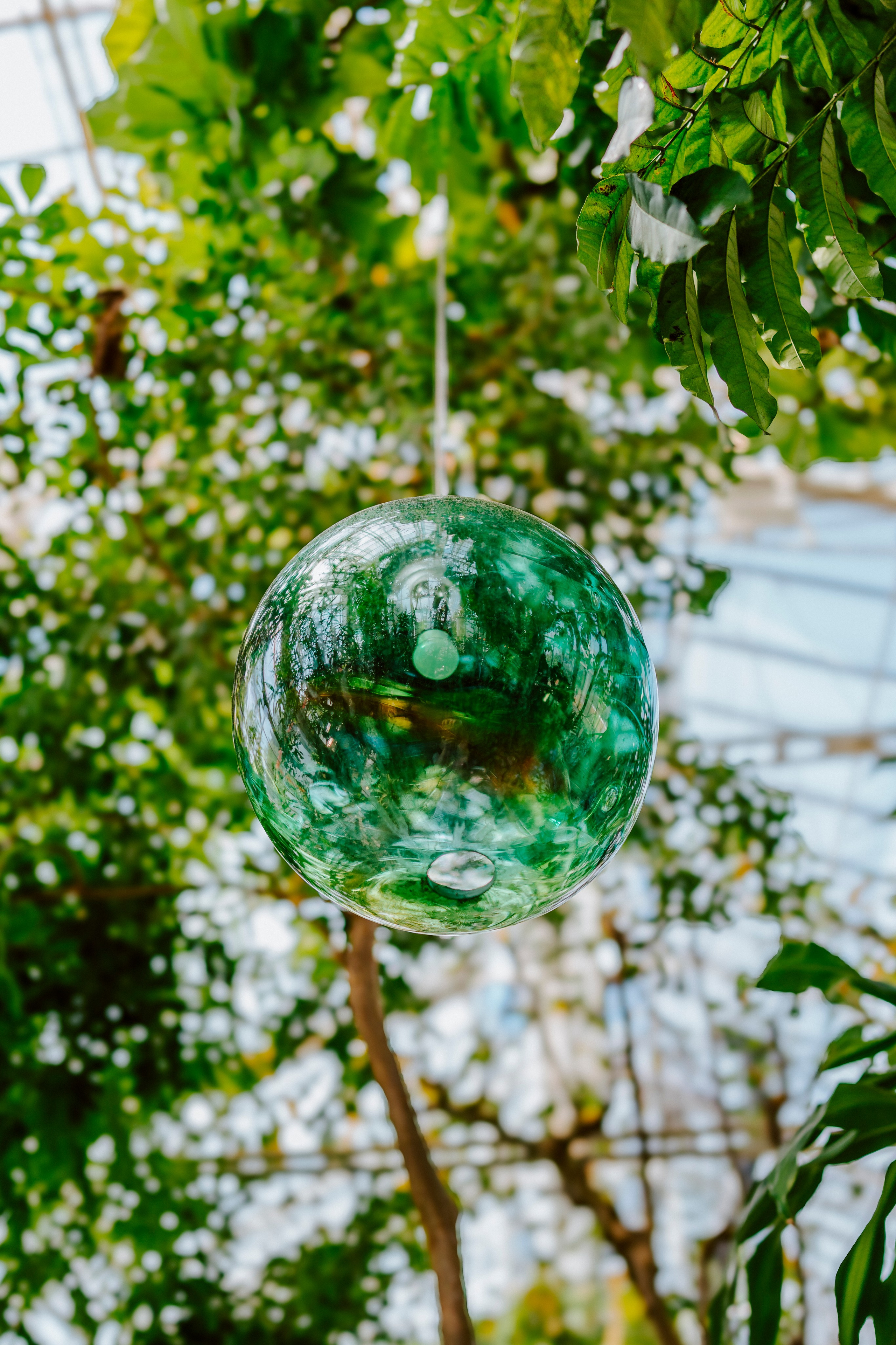 Gallery. Natasha Shakh