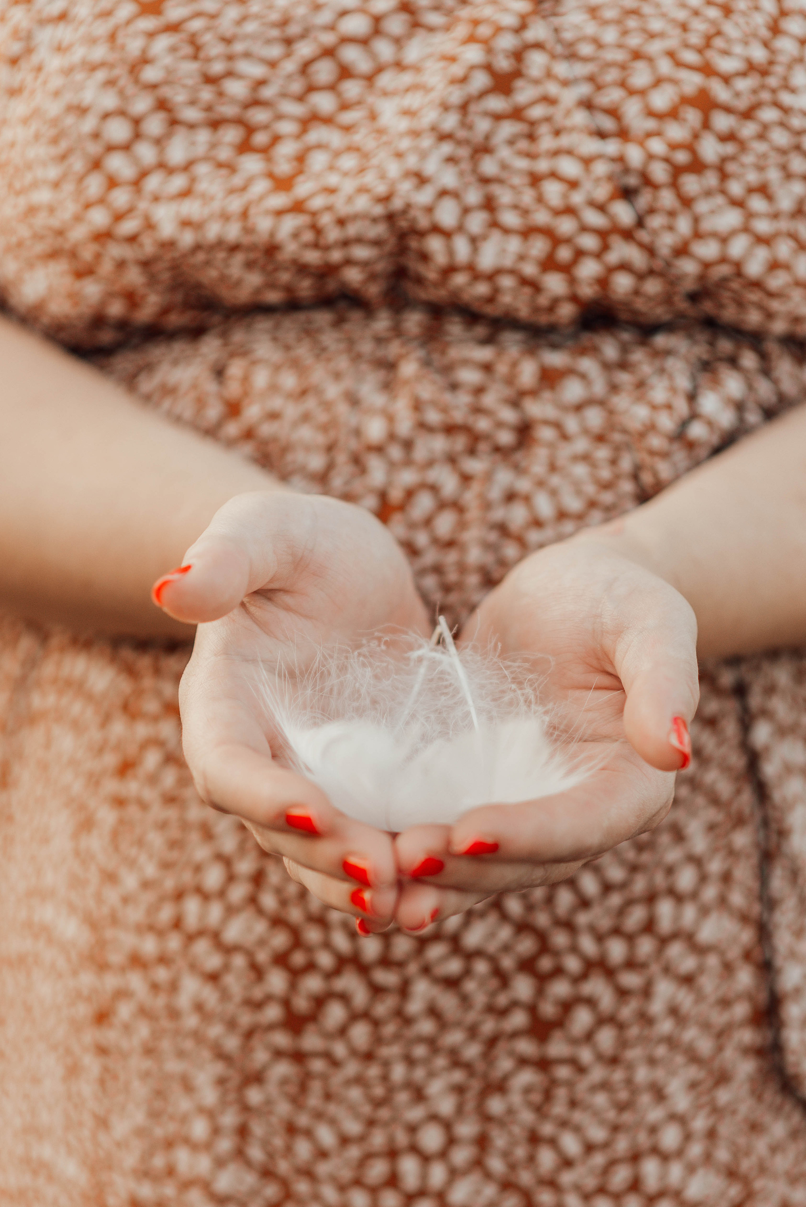 FEATHERS. Photographer in Nuremberg Irina Mehnert from Ansbach