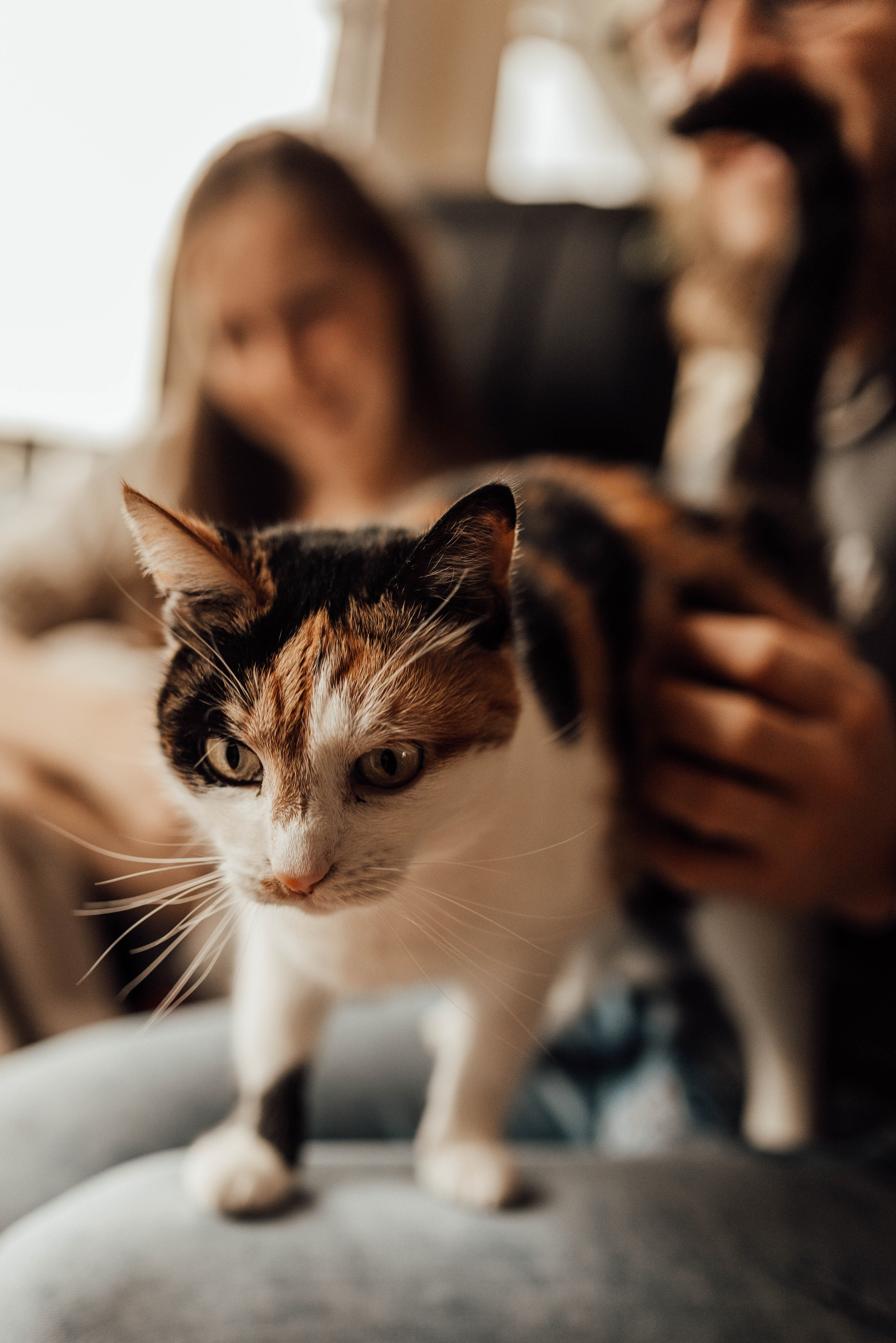 SWEET NOVEMBER. Photographer in Nuremberg Irina Mehnert from Ansbach