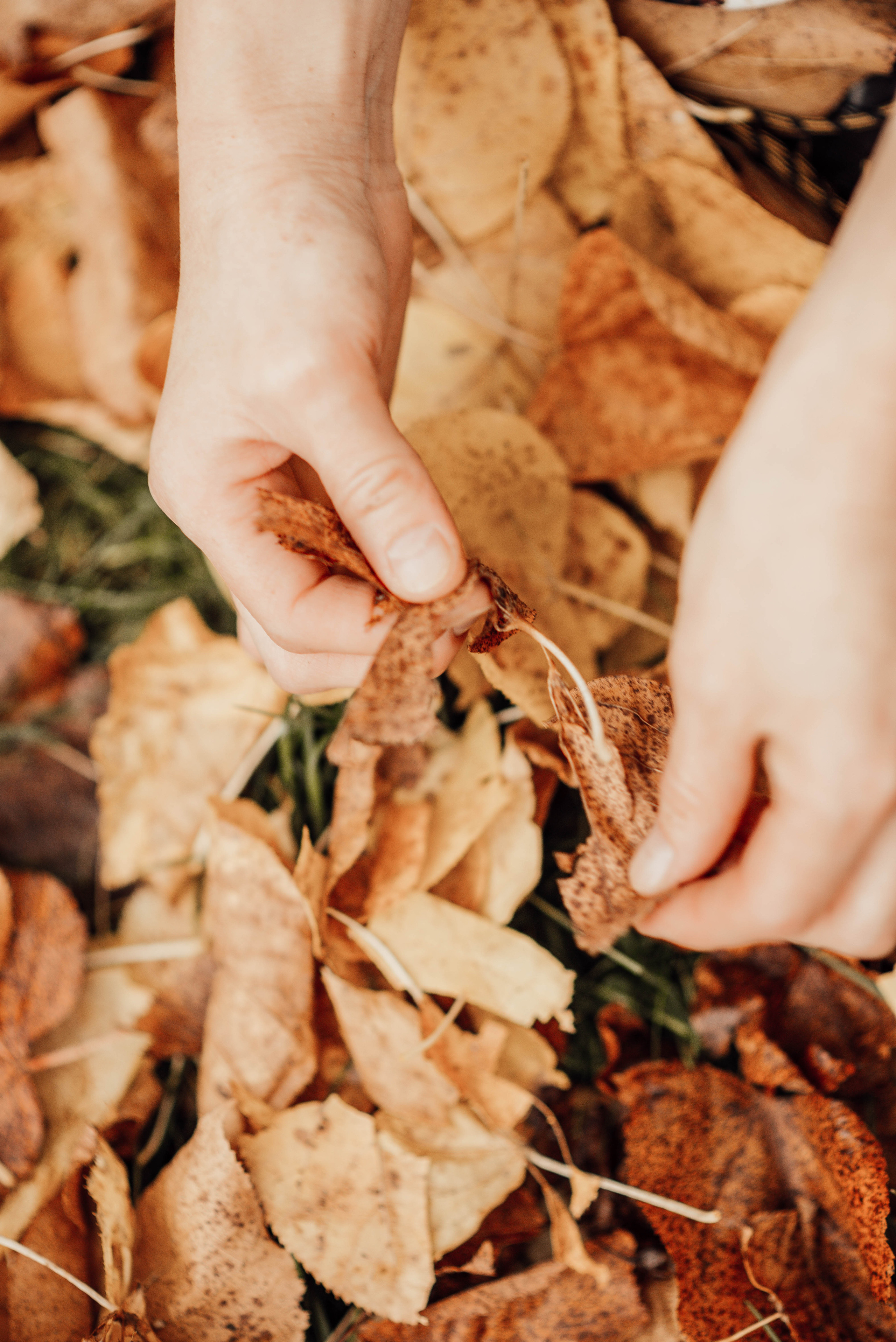AUTUMN VIBES. Фотограф в Нюрнберге Ирина Менерт из Ансбаха