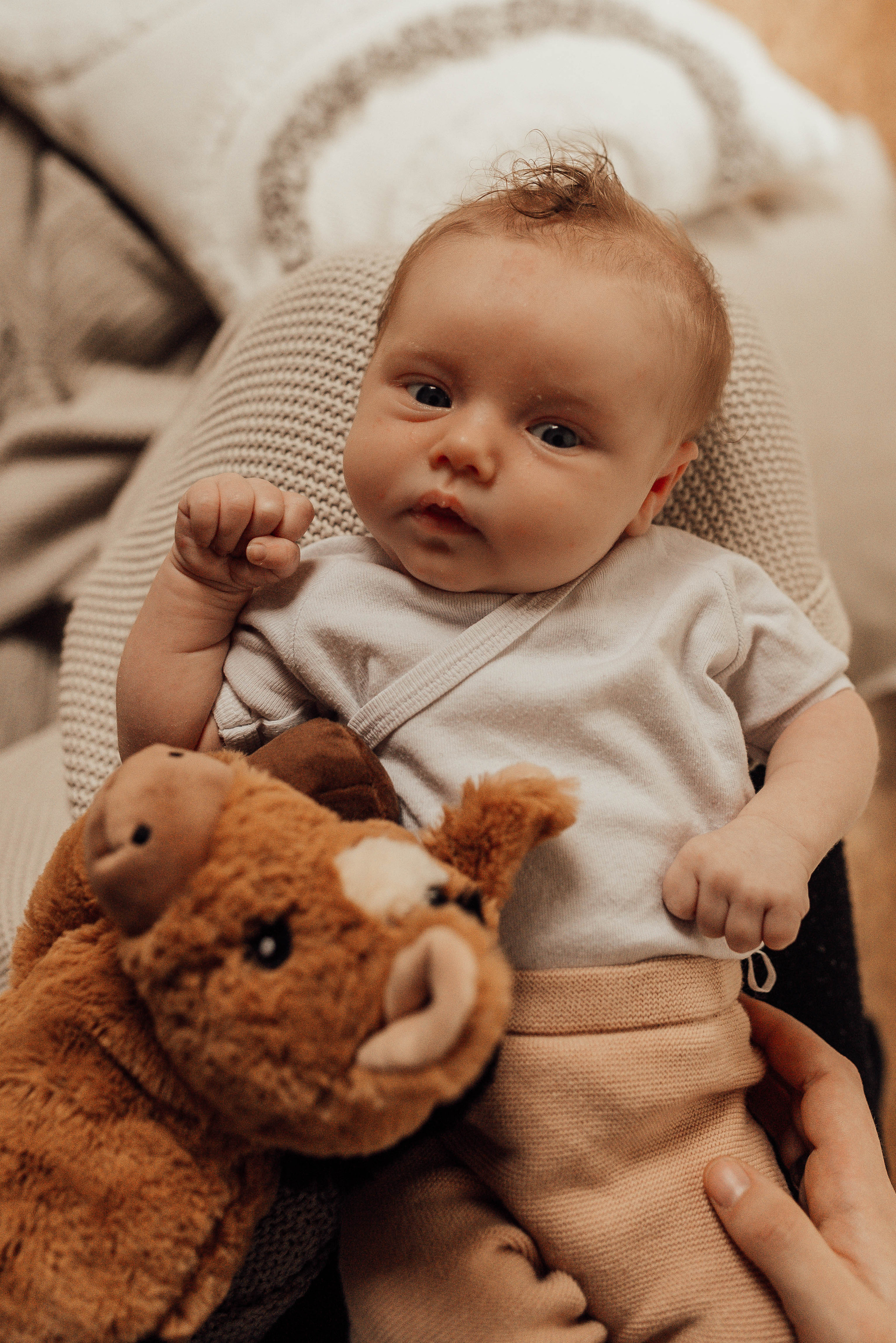 SWEET NOVEMBER. Photographer in Nuremberg Irina Mehnert from Ansbach