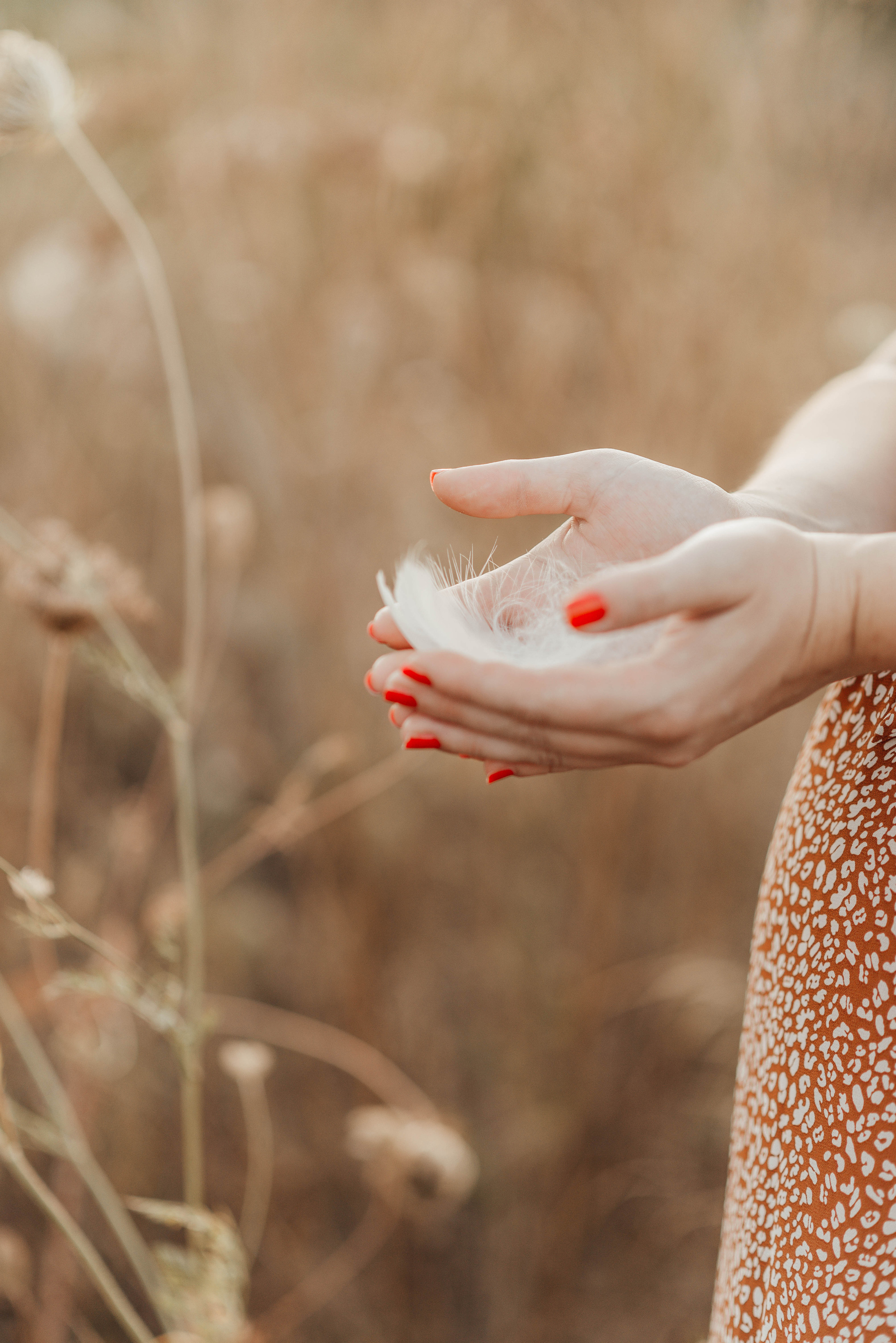 FEATHERS. Photographer in Nuremberg Irina Mehnert from Ansbach