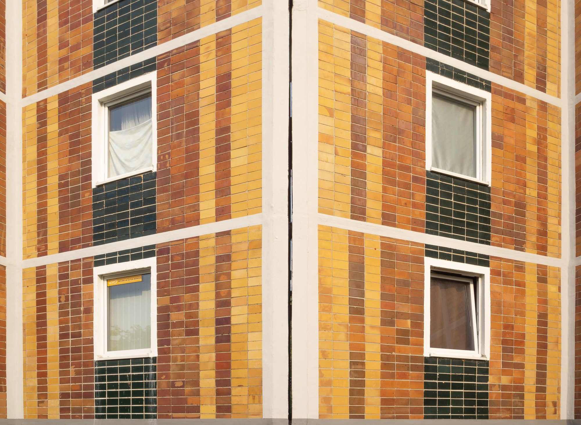 Arrival. Anastasia Musinova