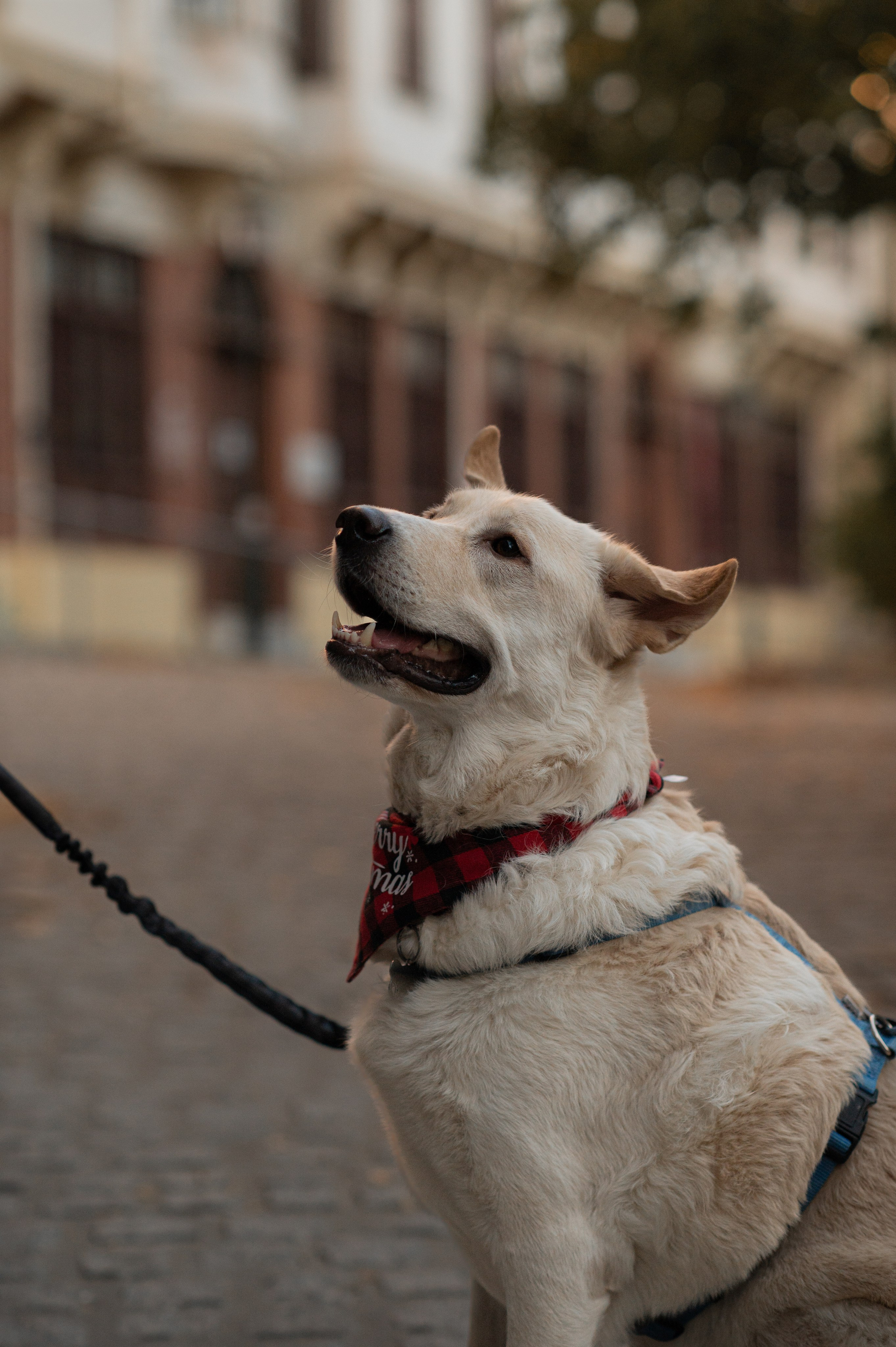 Around Old city. Family, children, portrait, and event photography in Thessaloniki