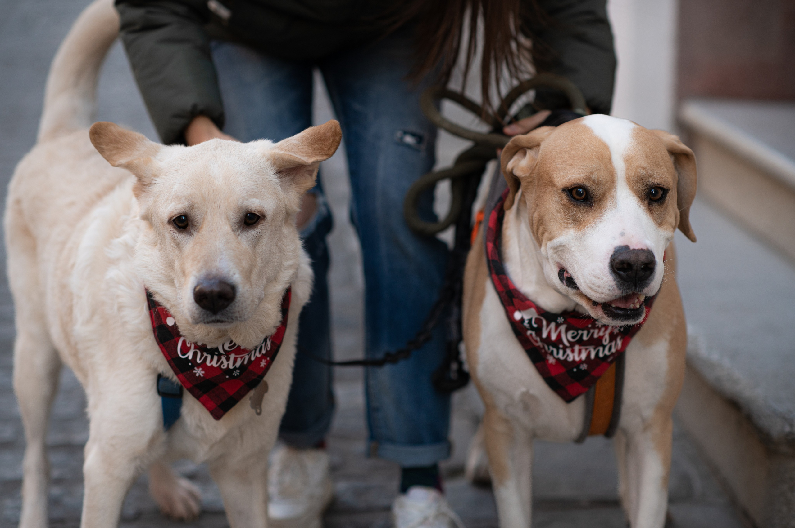 Around Old city. Family, children, portrait, and event photography in Thessaloniki