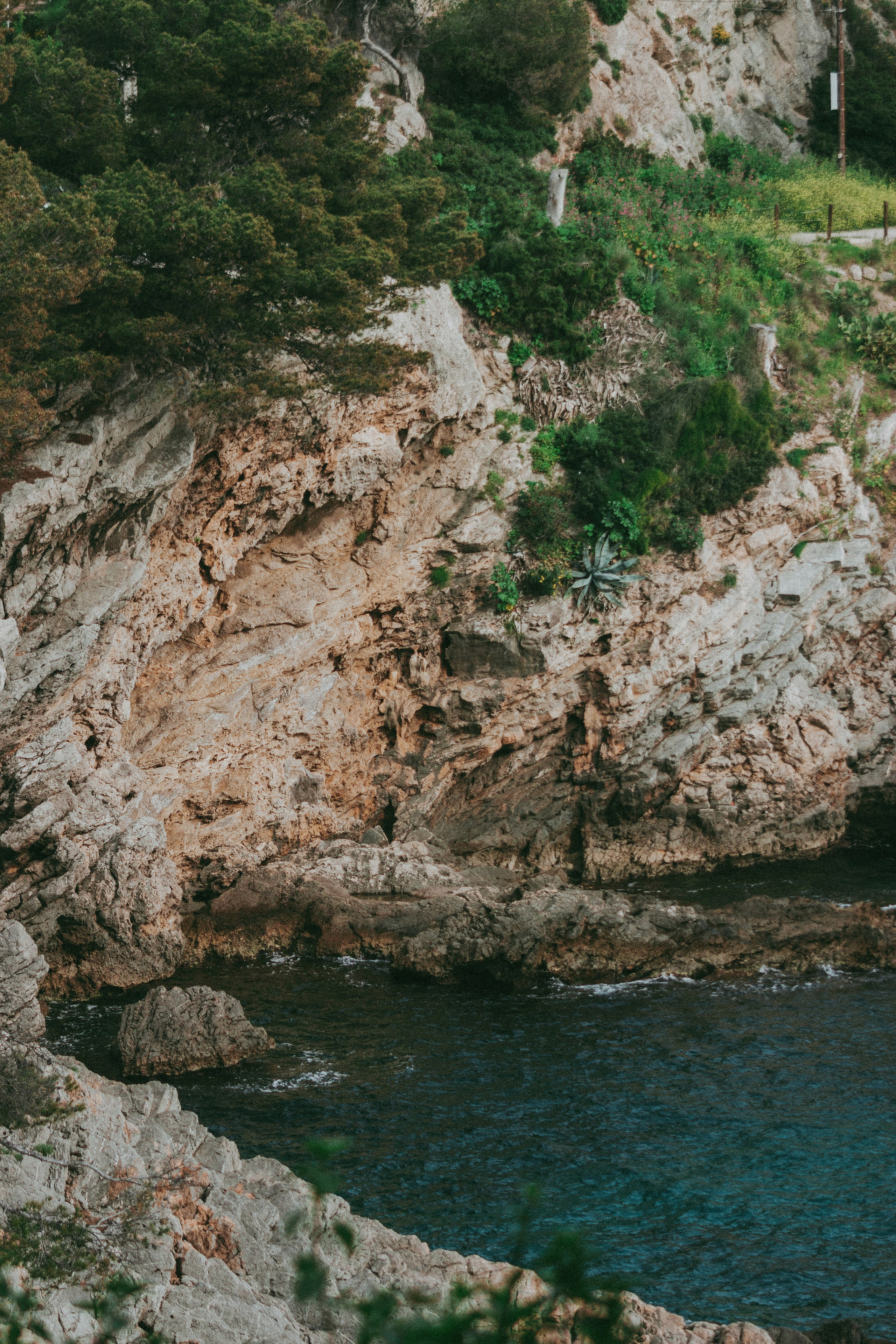 Anse Magaud, Cap Brun, Toulon. Photographe à la Seyne sur Mer, Var