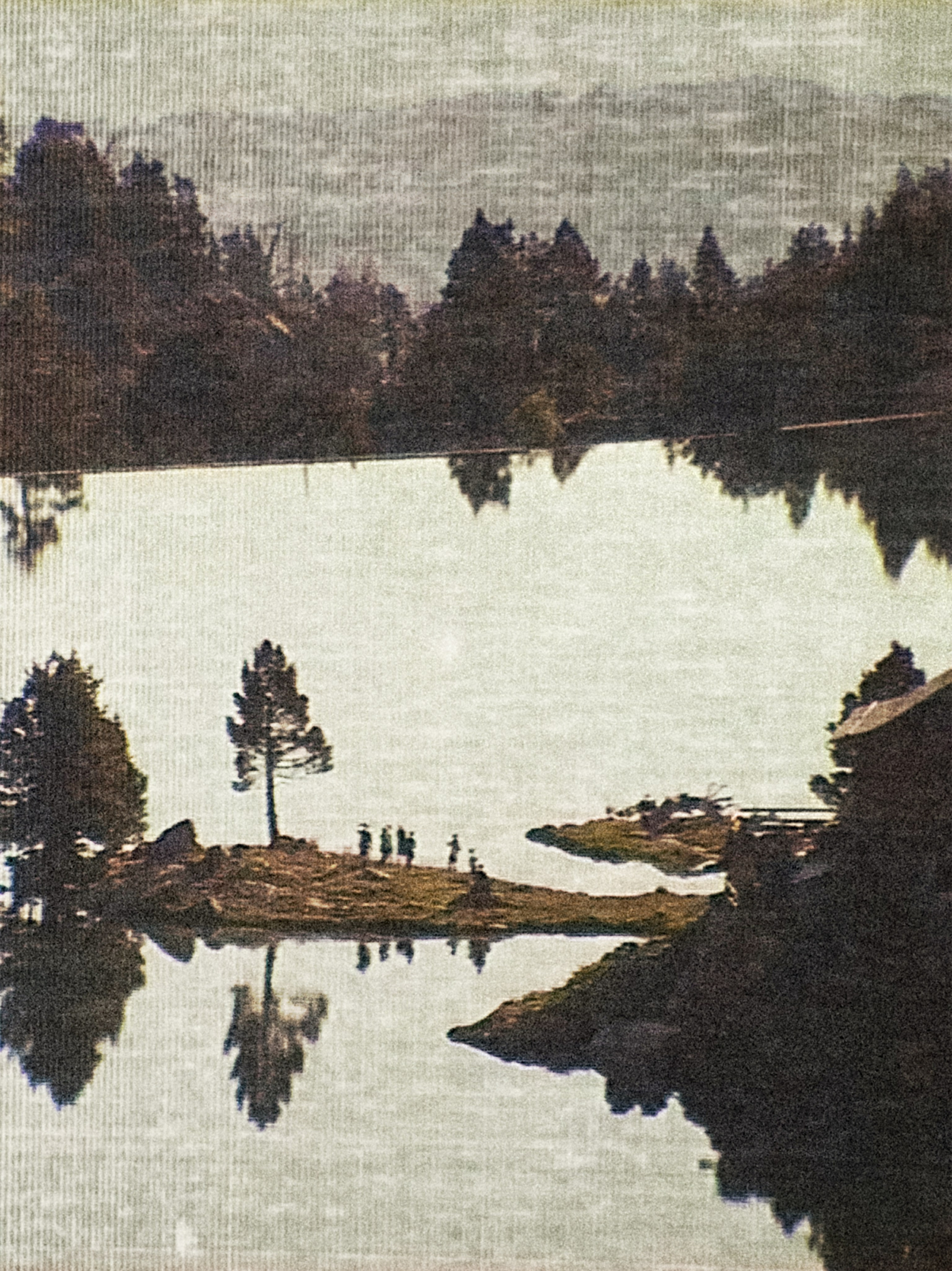 An old painting or print depicting a serene natural scene with trees and water