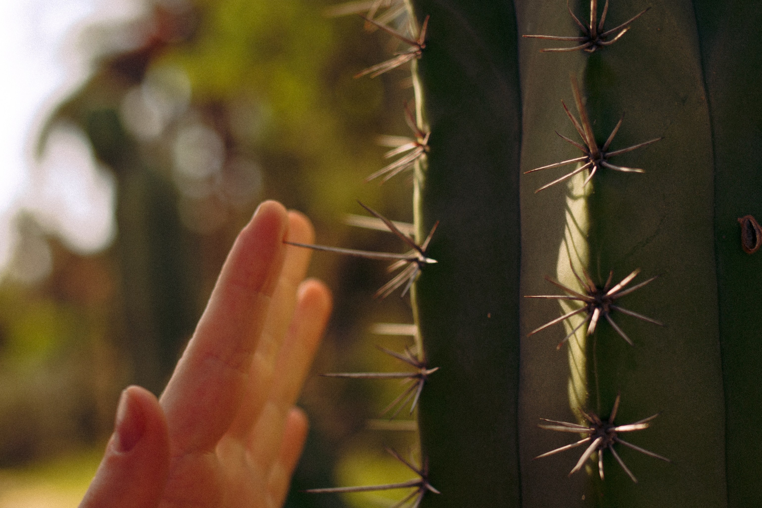 Una chica artística en la naturaleza. Marina Kálcheva – Photographer, Videographer & Visual Artist in Barcelona