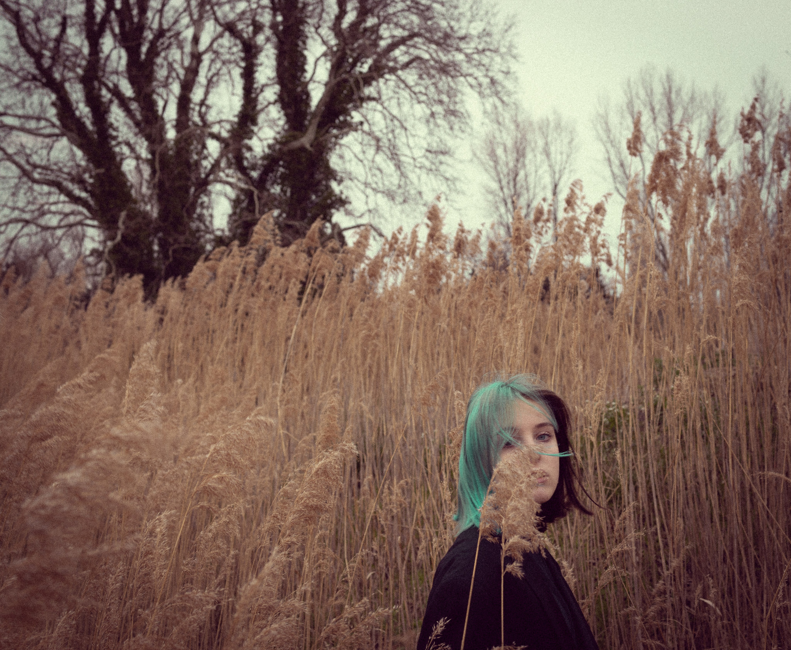 Portrait de femme charismatique. Histoires d’amour, séances photos de famille et de mariage en France