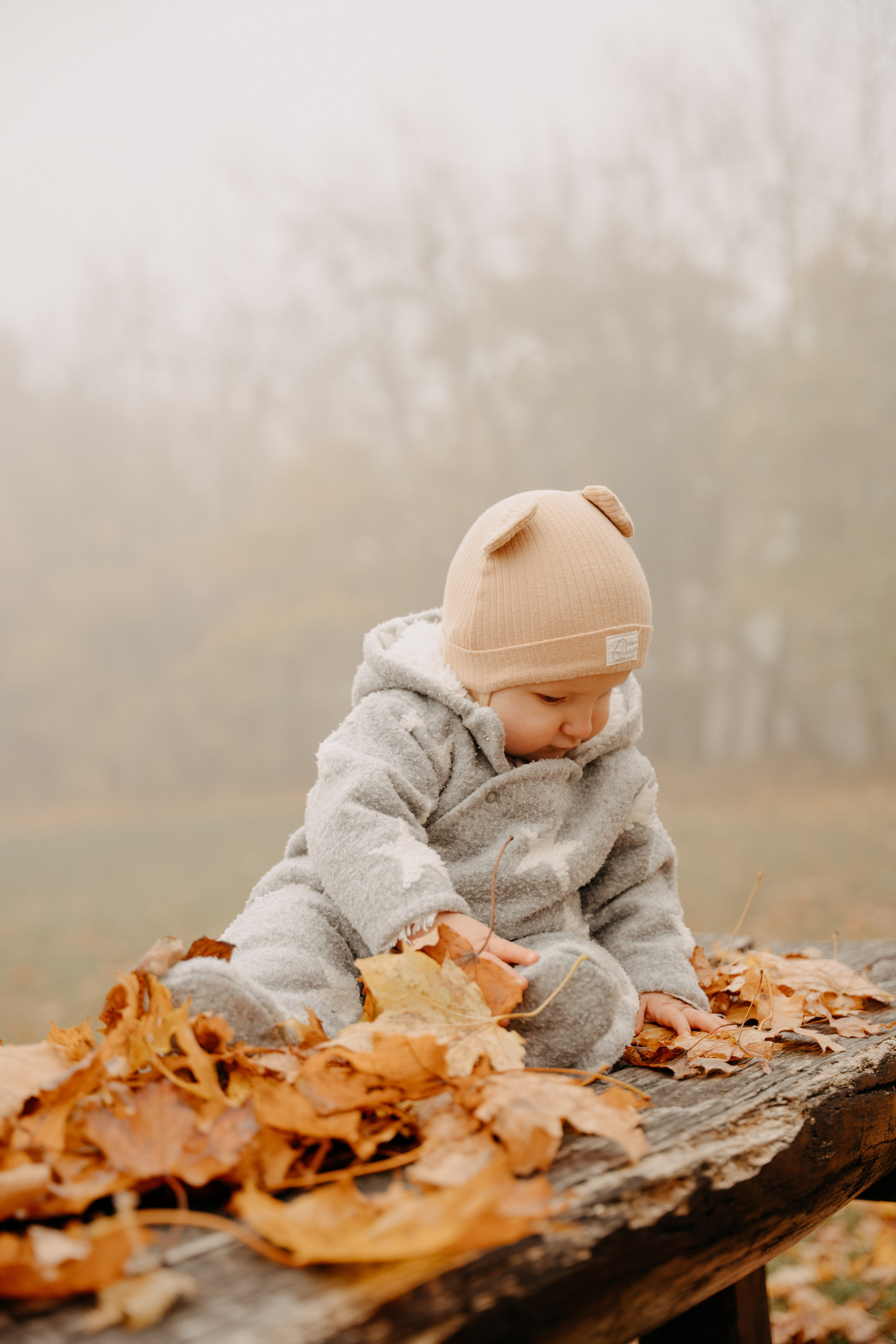 Bendegúz a ködös Normafán. Kezdőlap