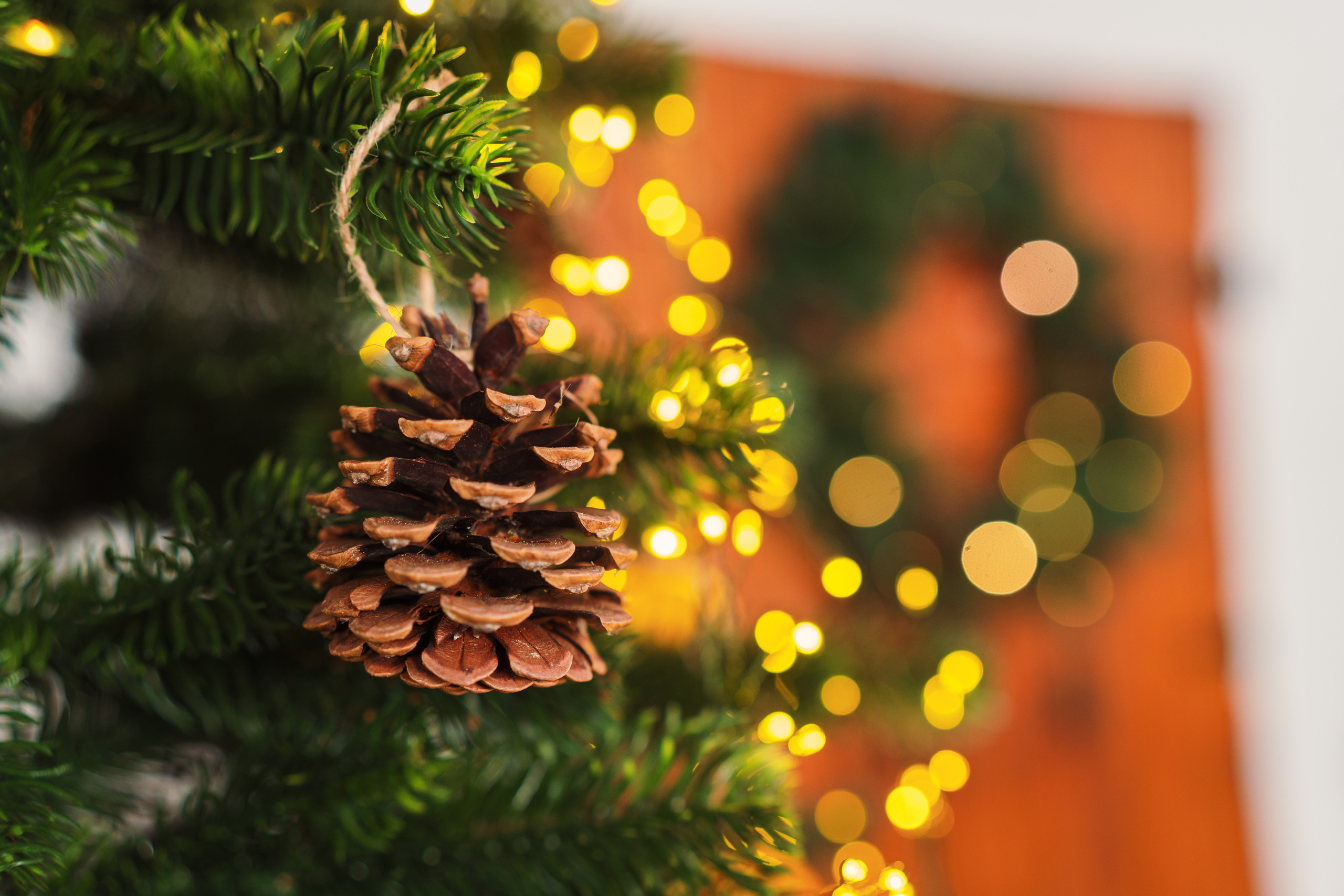 Decor Craciun 2023. Raw Studio. Fotograful tau de nunta!