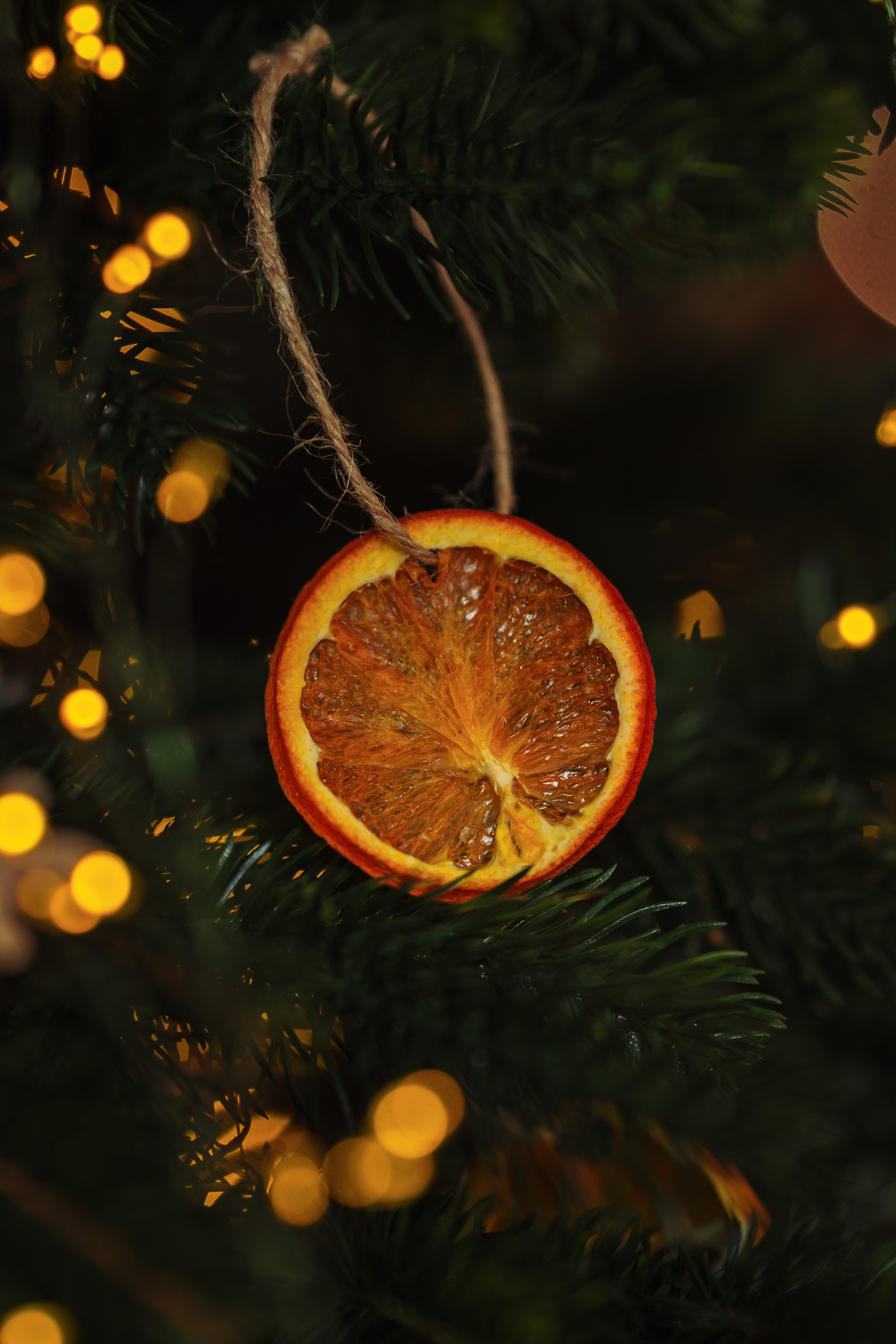 Decor Craciun 2023. Raw Studio. Fotograful tau de nunta!